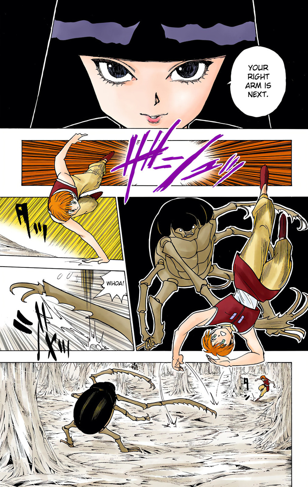 Hunter x Hunter Colored Manga
