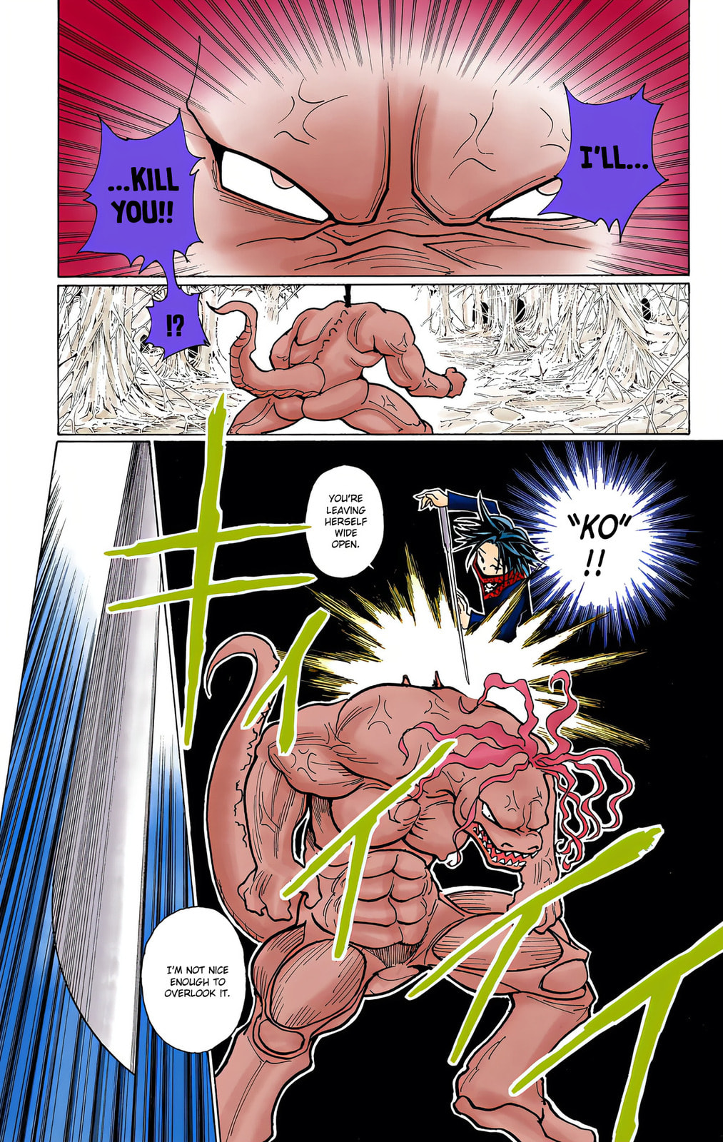 Hunter x Hunter Colored Manga