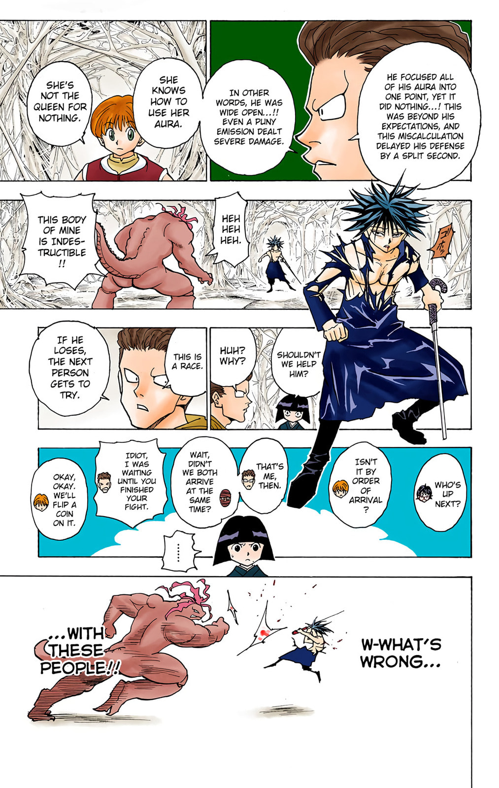 Hunter x Hunter Colored Manga