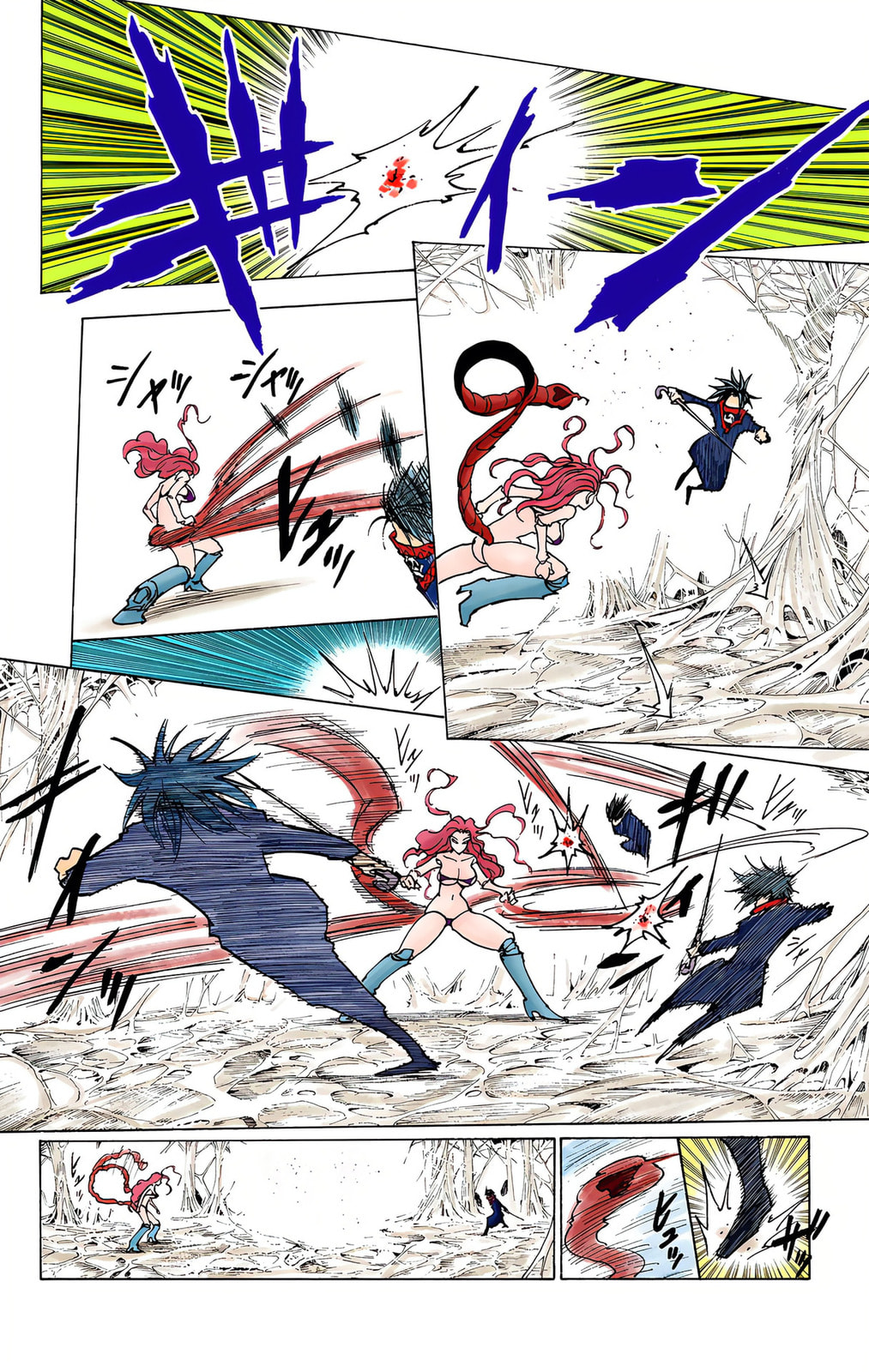 Hunter x Hunter Colored Manga