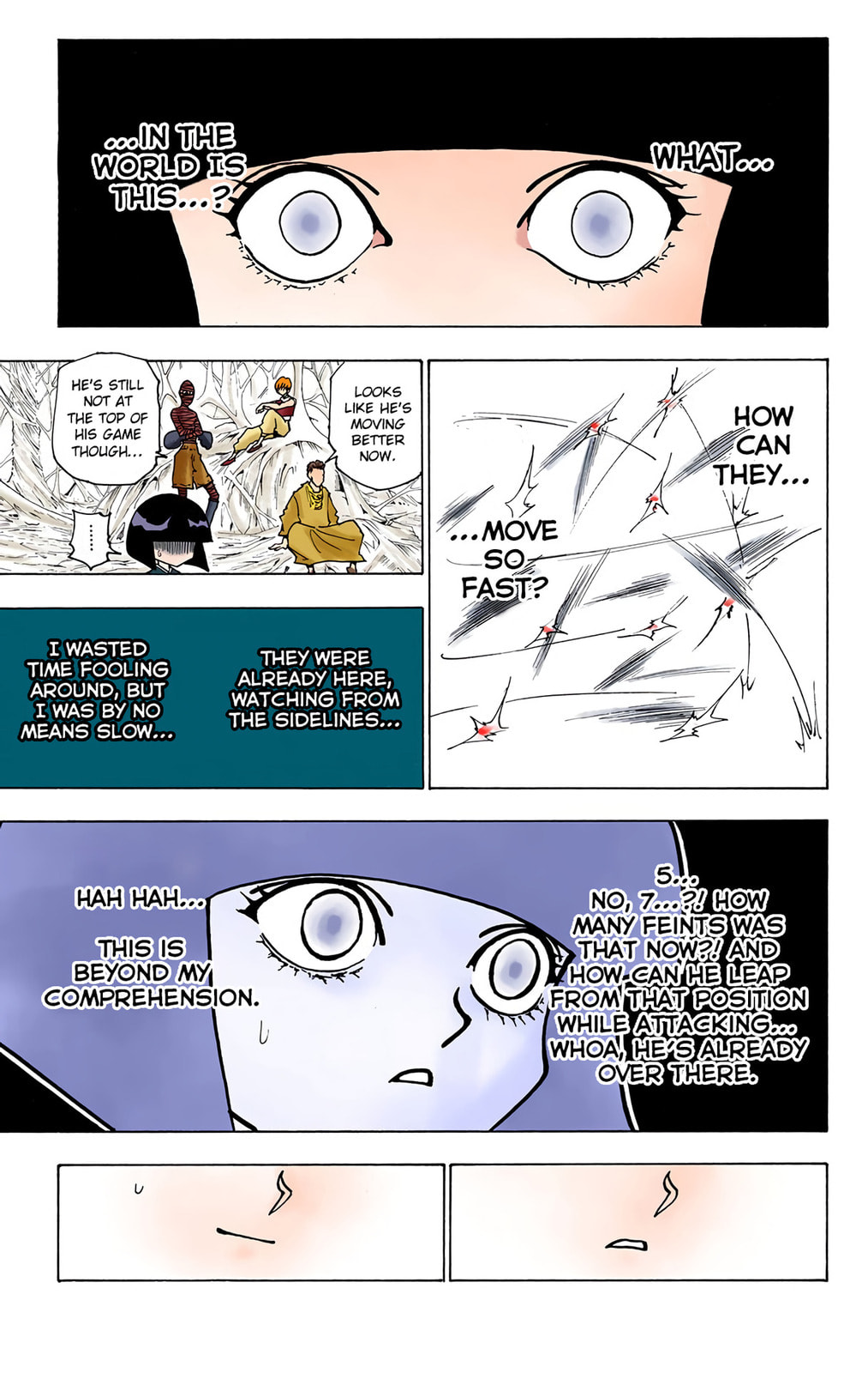 Hunter x Hunter Colored Manga