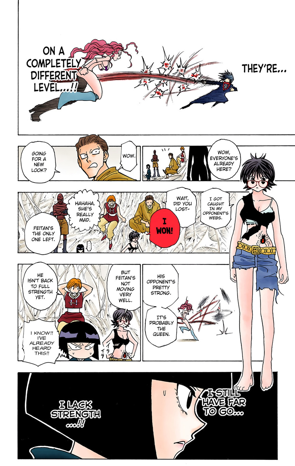 Hunter x Hunter Colored Manga