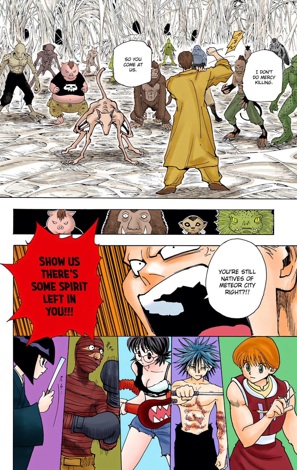 Hunter x Hunter Colored Manga