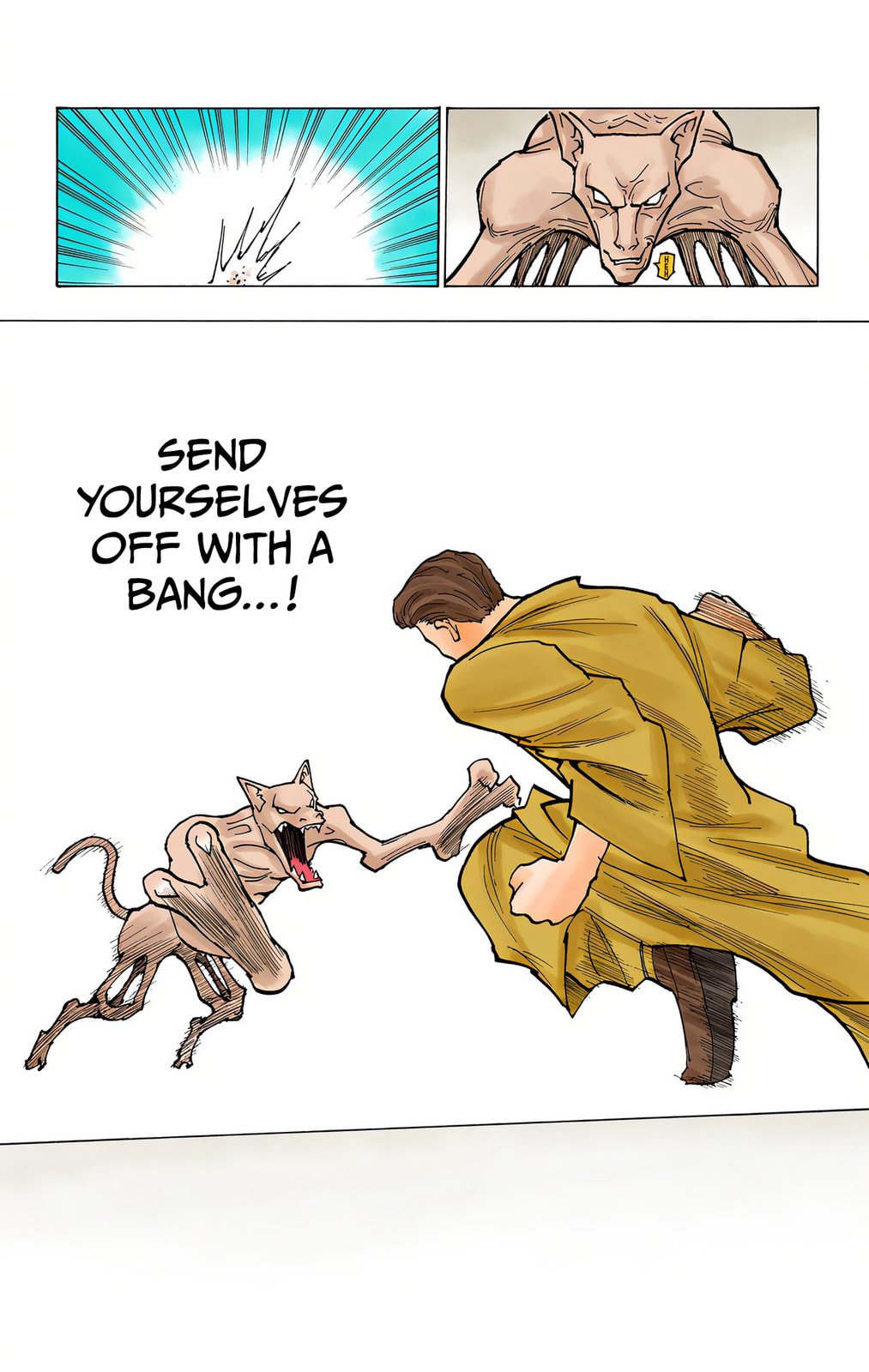 Hunter x Hunter Colored Manga