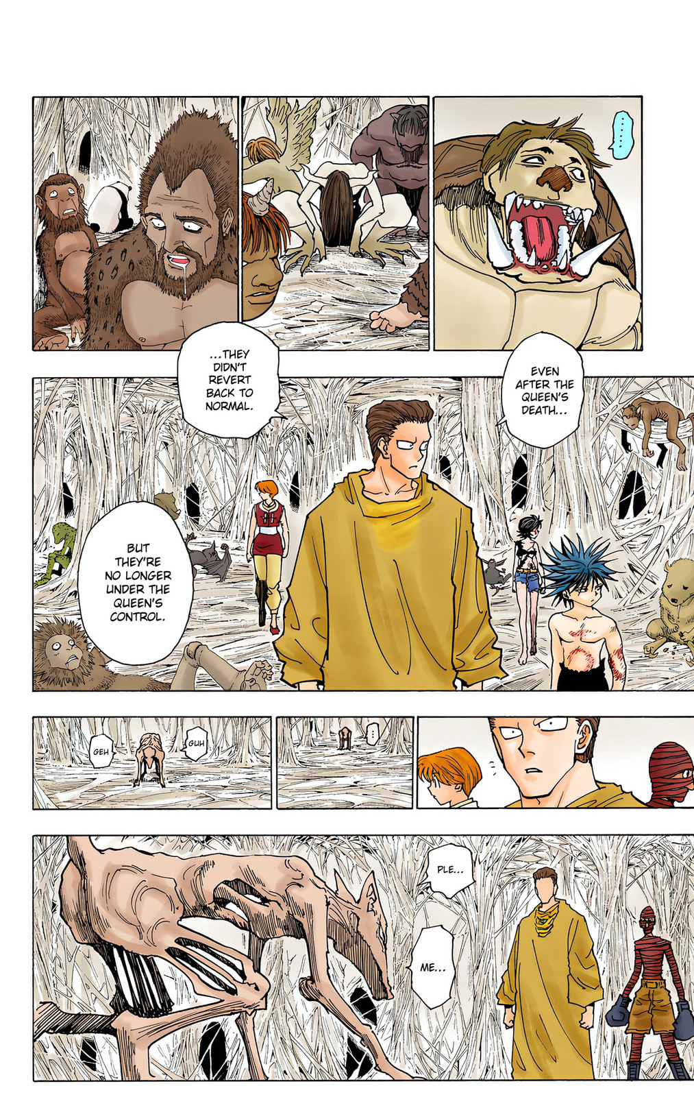 Hunter x Hunter Colored Manga