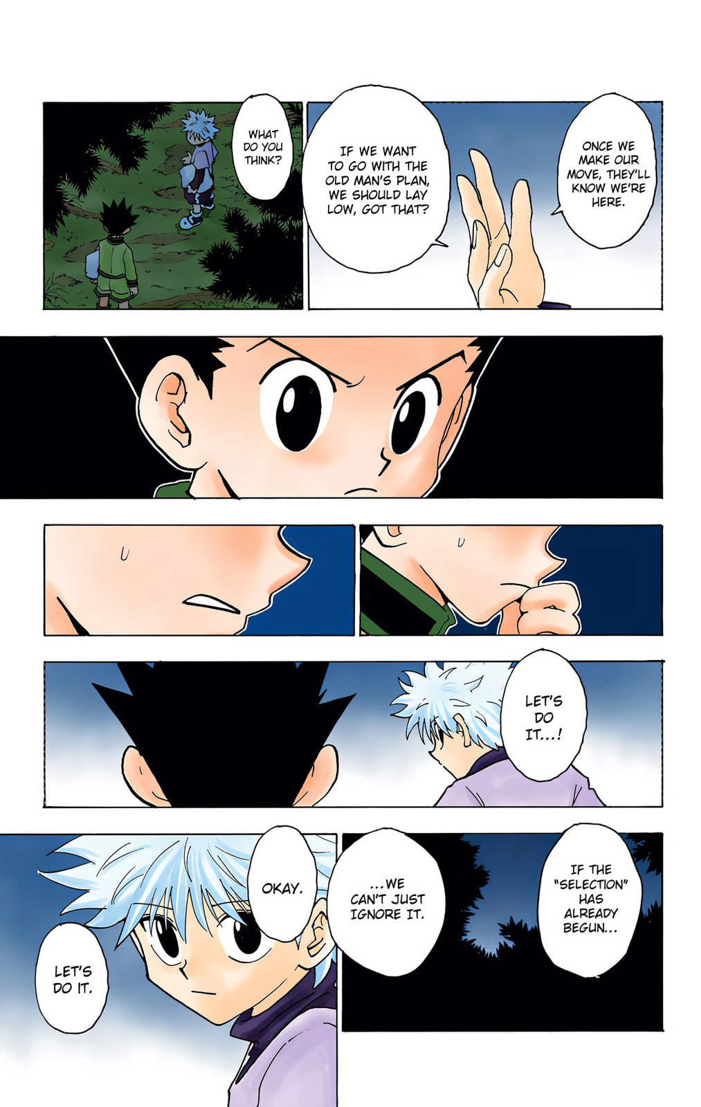 Hunter x Hunter Colored Manga
