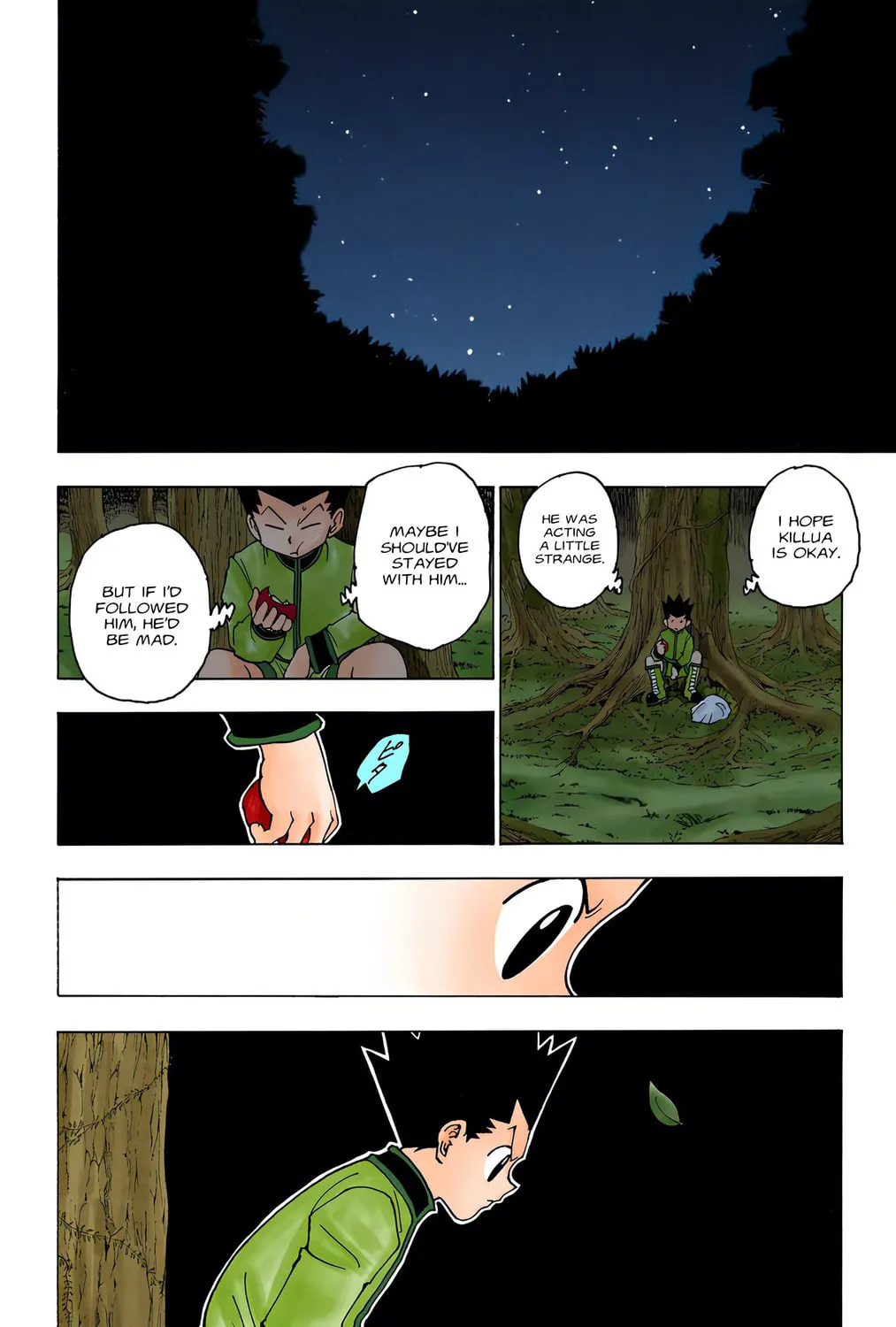 Hunter x Hunter Colored Manga