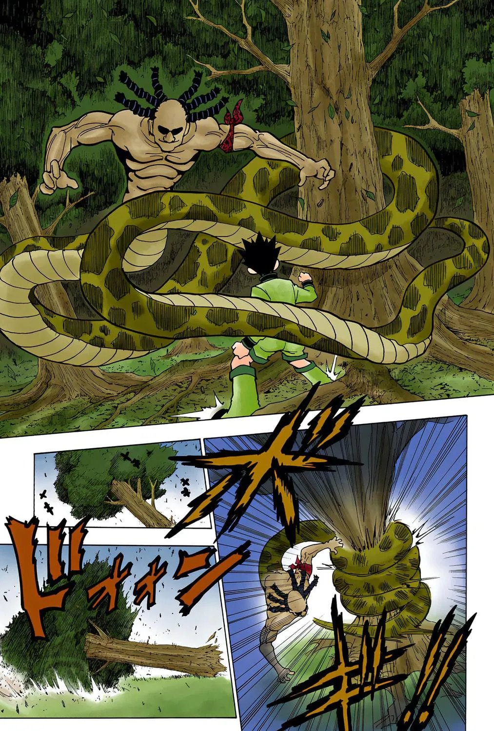 Hunter x Hunter Colored Manga