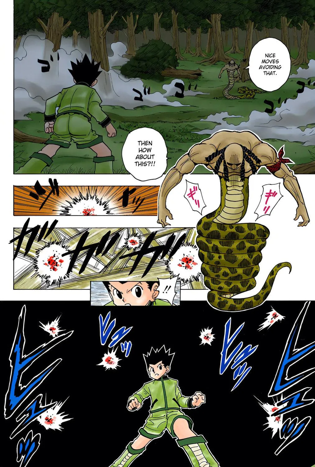 Hunter x Hunter Colored Manga