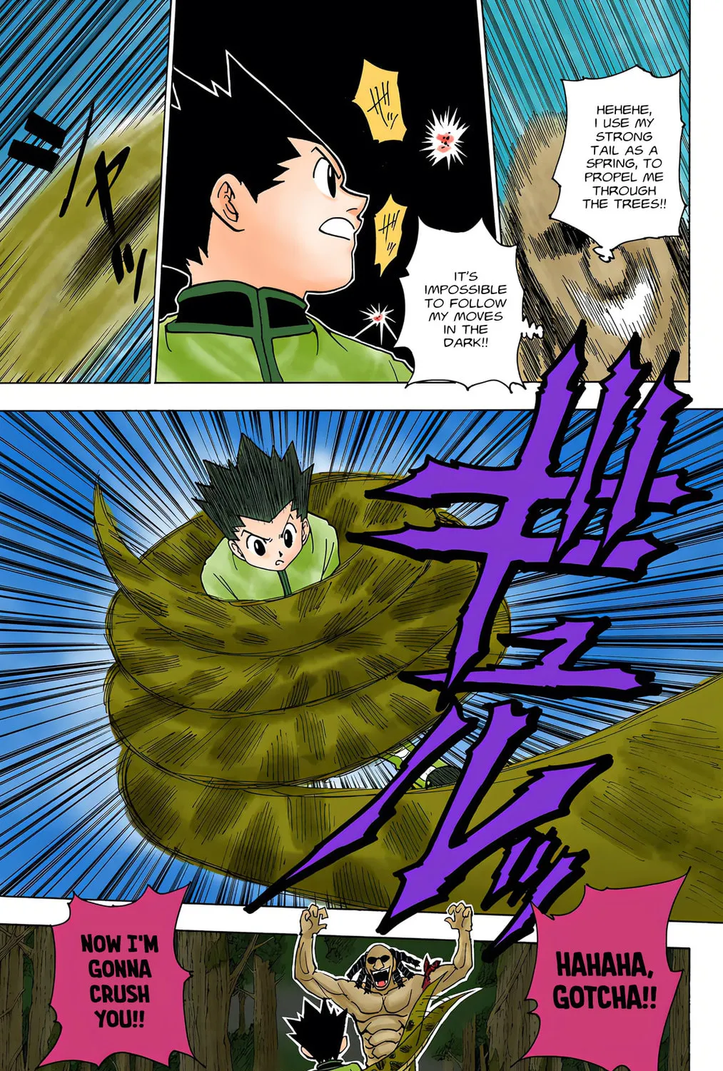 Hunter x Hunter Colored Manga
