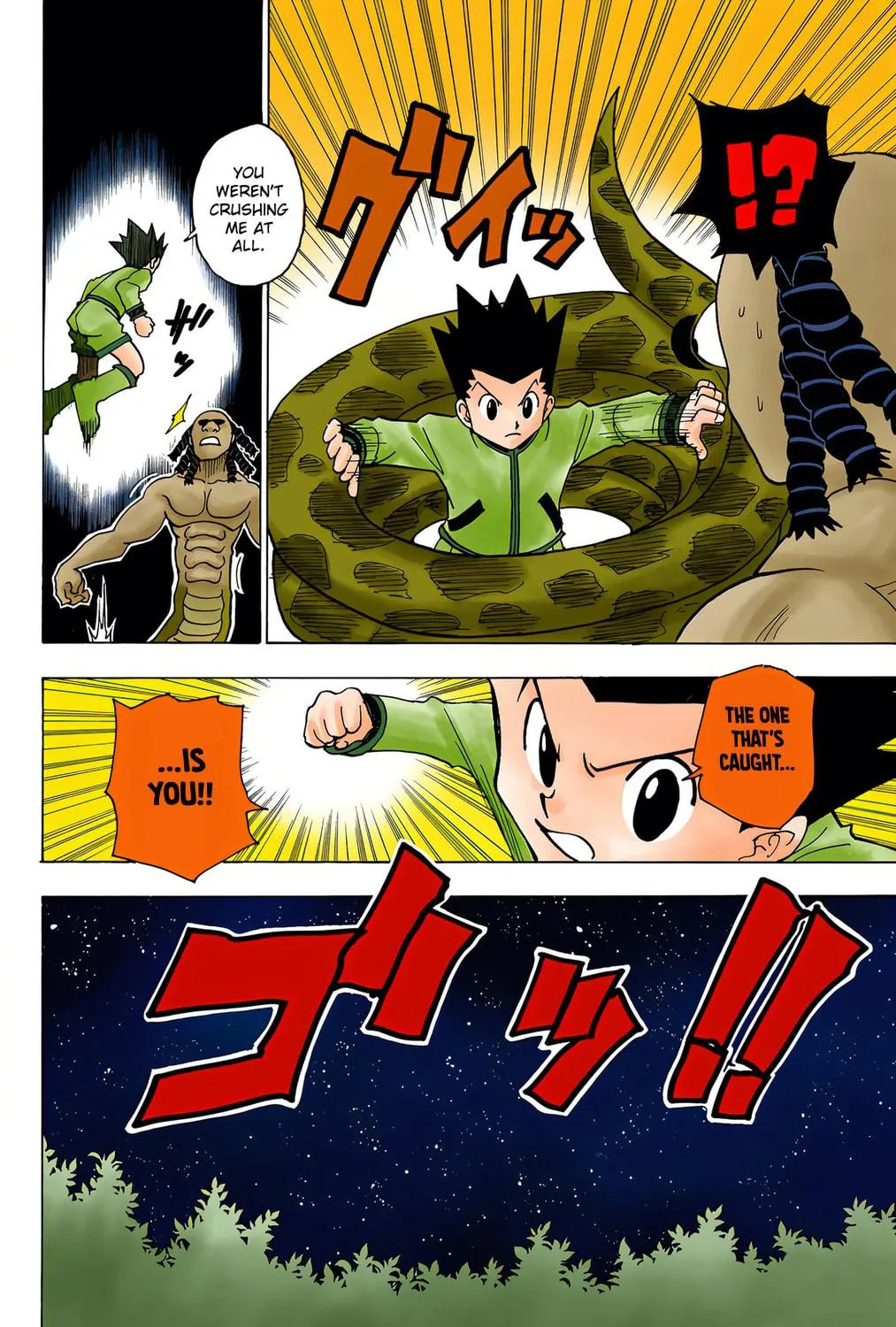 Hunter x Hunter Colored Manga