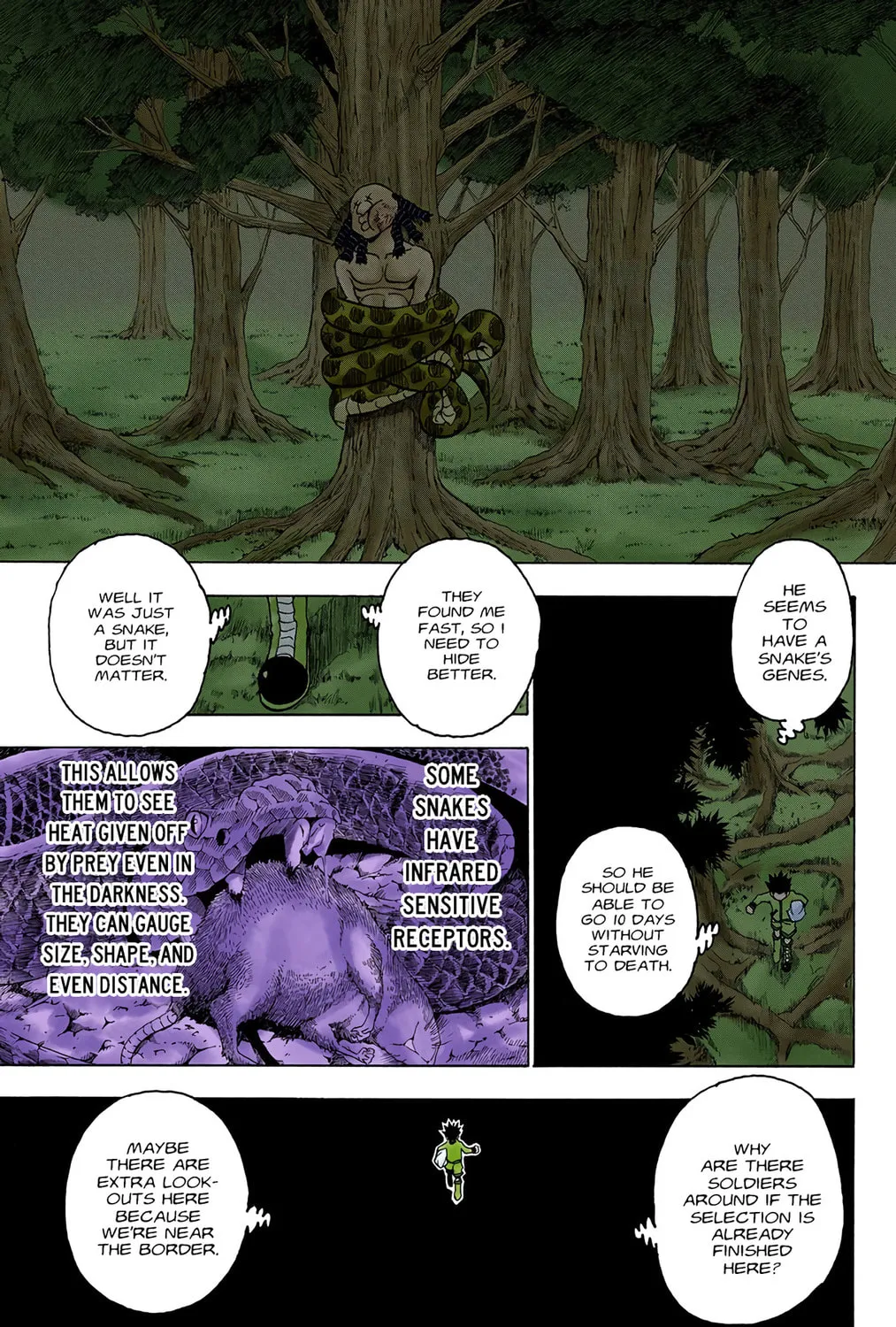 Hunter x Hunter Colored Manga