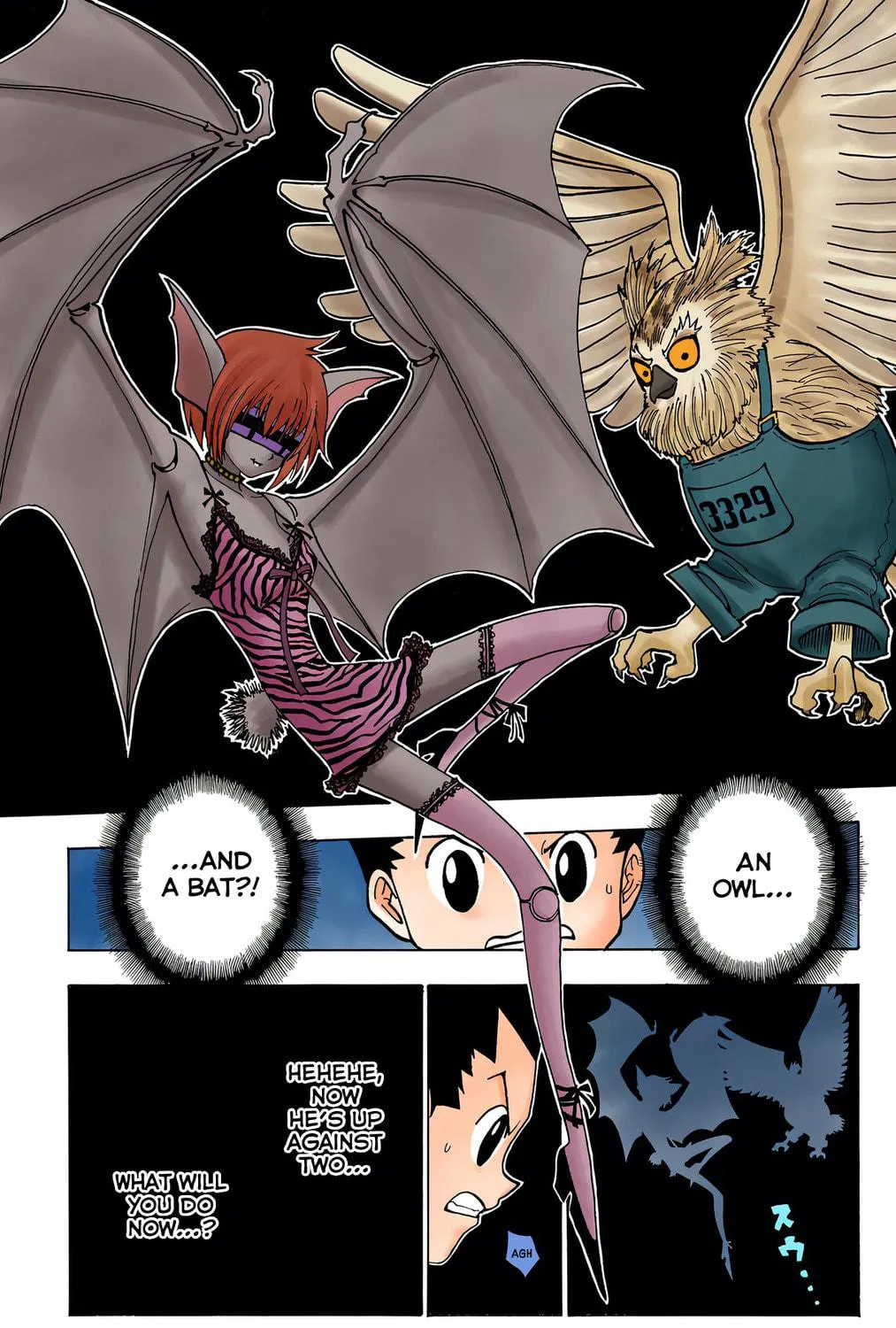 Hunter x Hunter Colored Manga