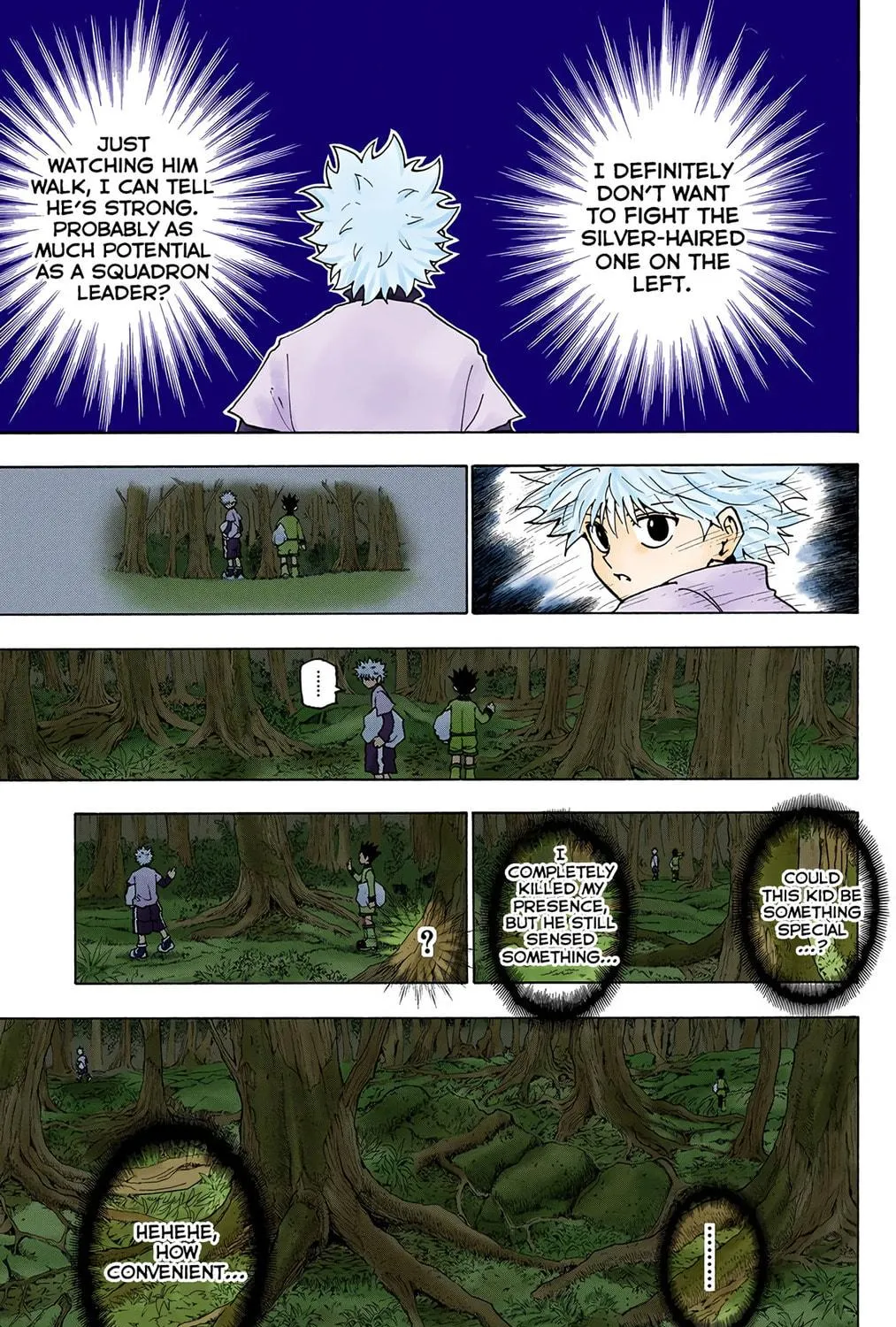 Hunter x Hunter Colored Manga