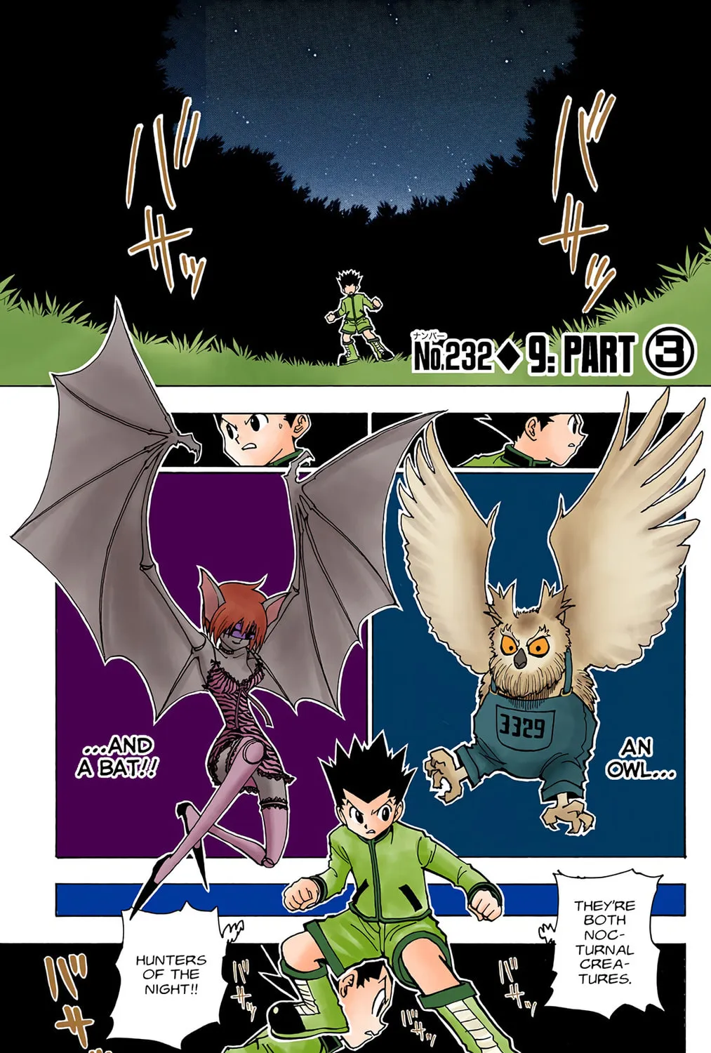 Hunter x Hunter Colored Manga