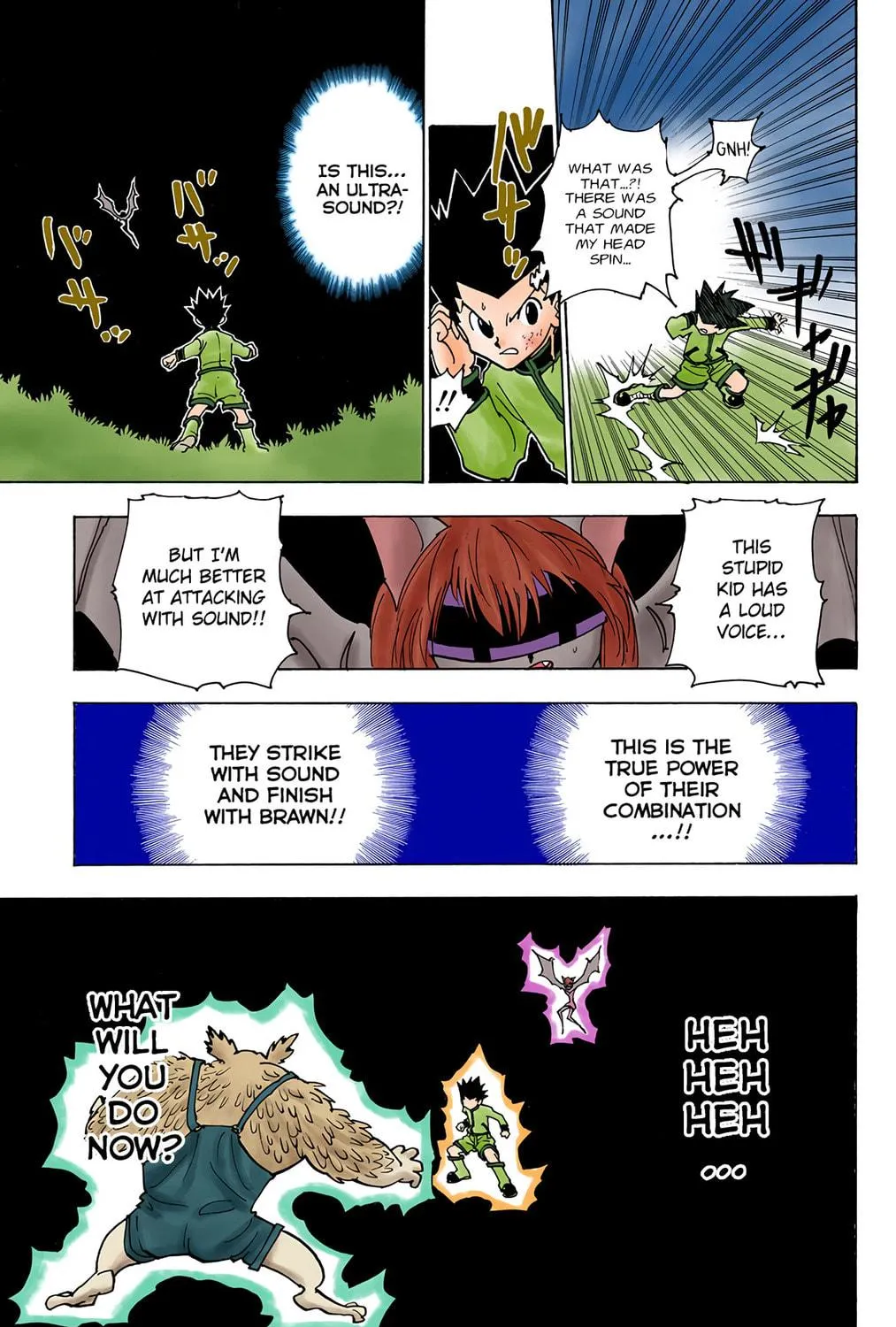 Hunter x Hunter Colored Manga