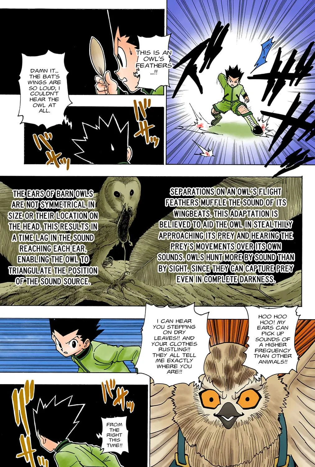 Hunter x Hunter Colored Manga