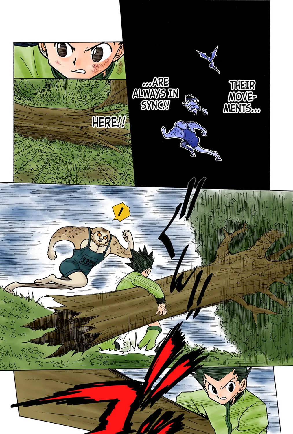 Hunter x Hunter Colored Manga