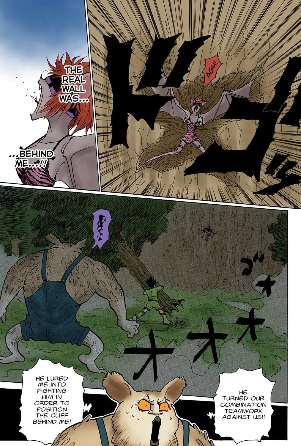 Hunter x Hunter Colored Manga