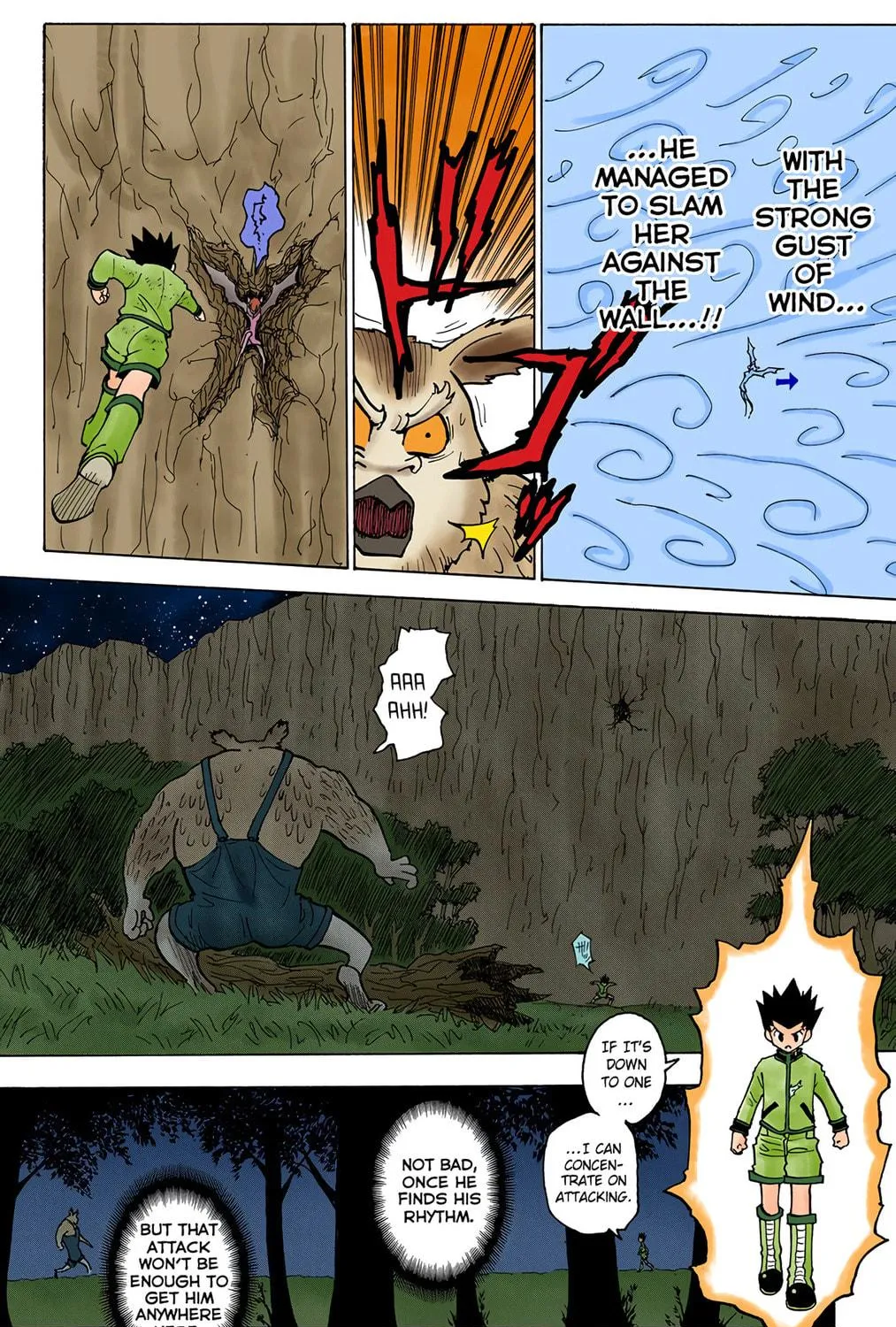 Hunter x Hunter Colored Manga