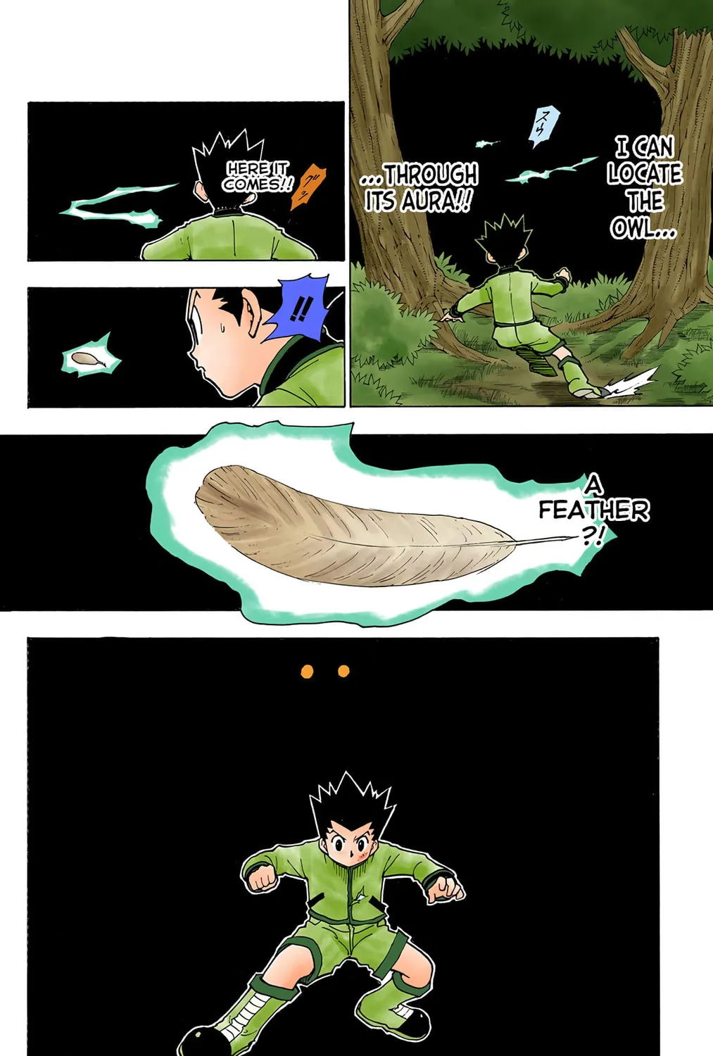 Hunter x Hunter Colored Manga