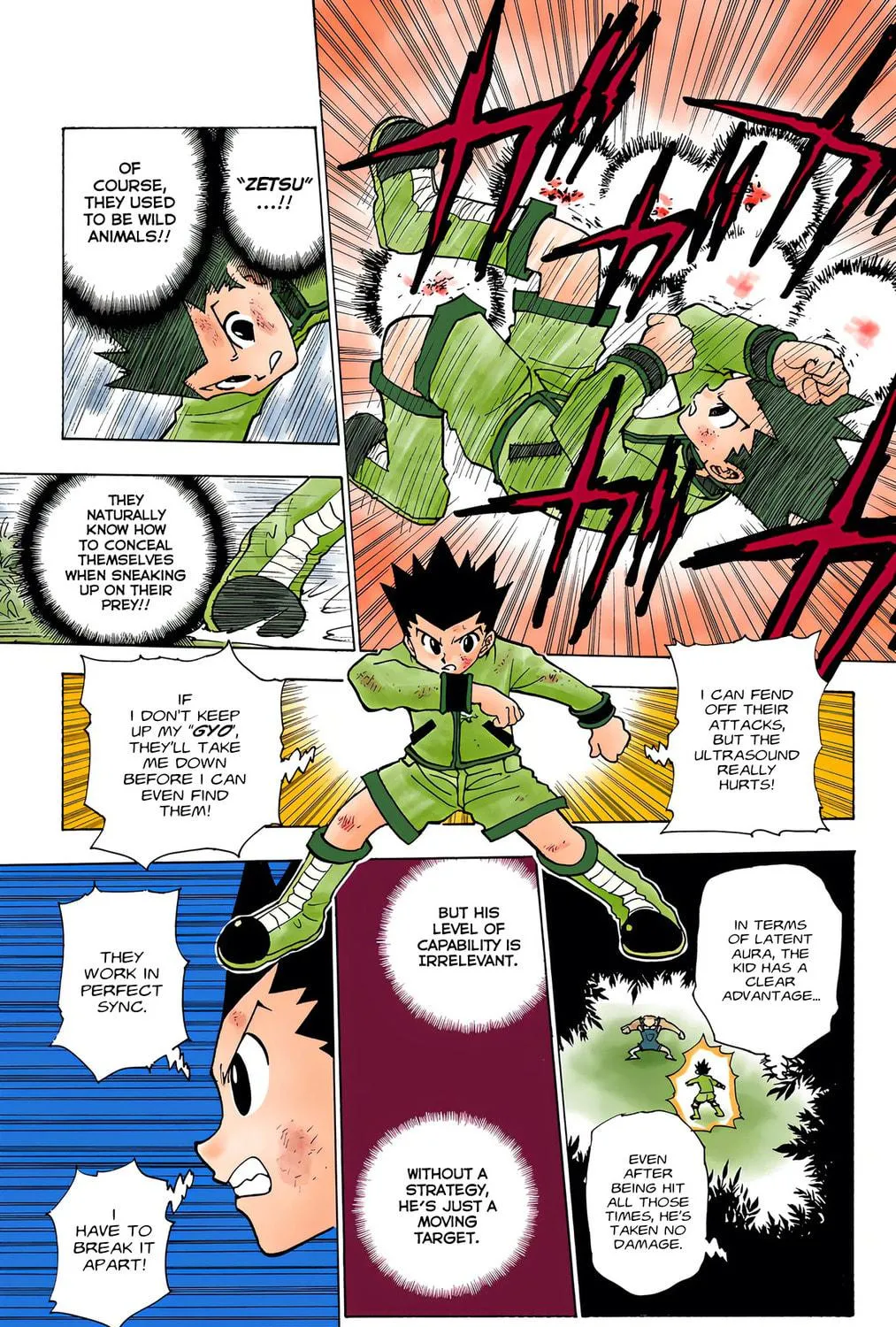 Hunter x Hunter Colored Manga