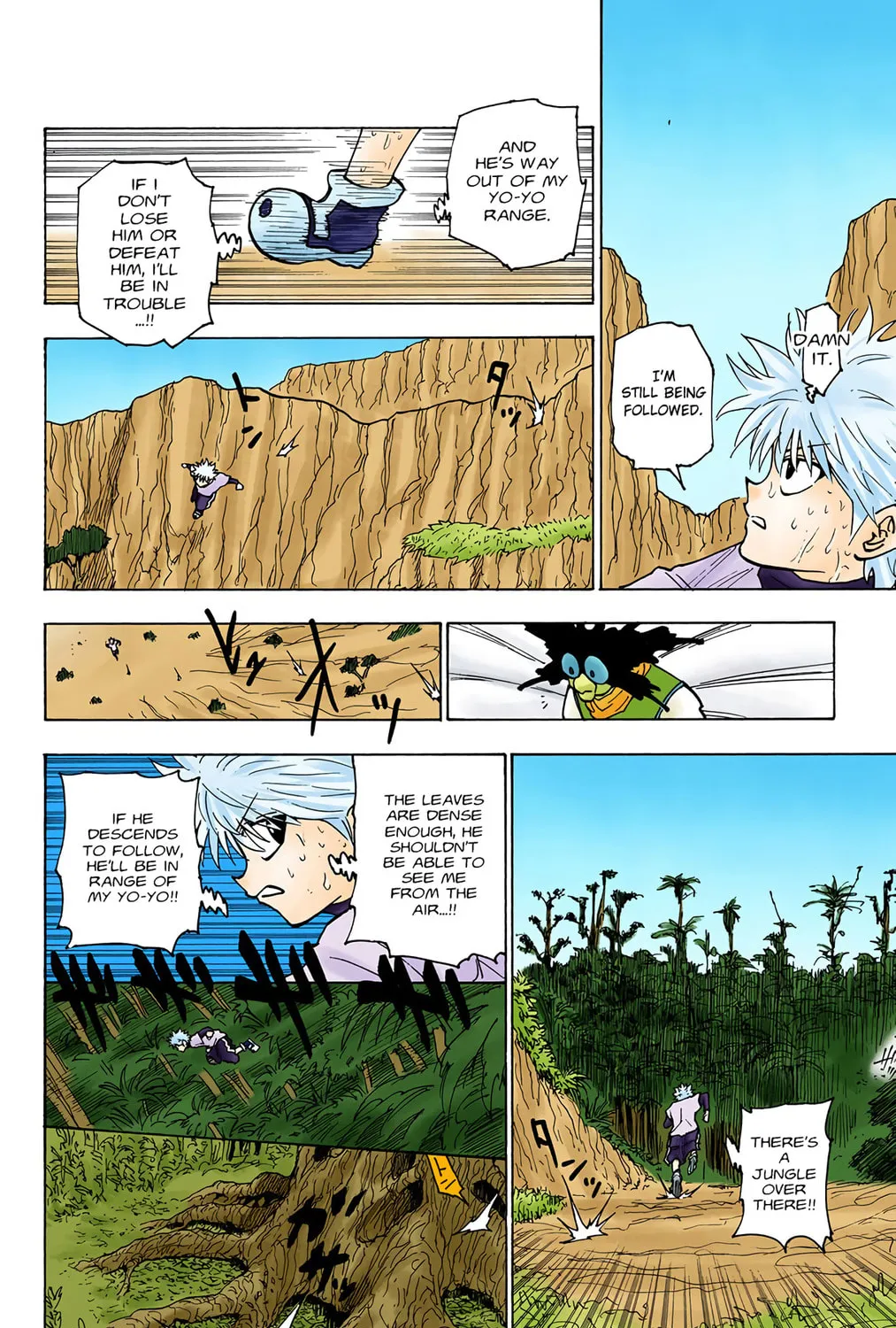 Hunter x Hunter Colored Manga