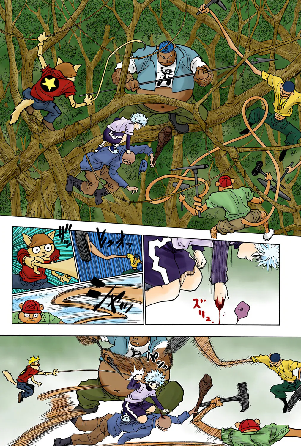 Hunter x Hunter Colored Manga