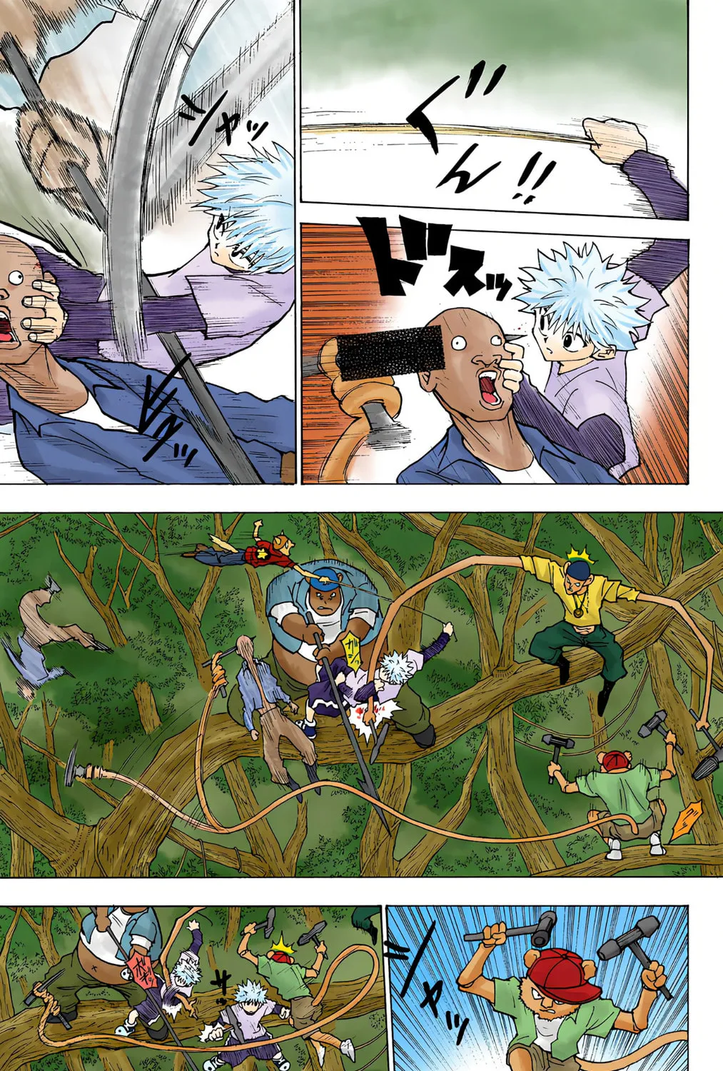 Hunter x Hunter Colored Manga