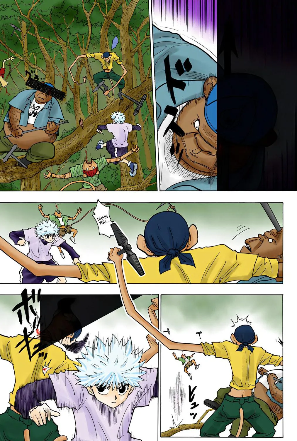 Hunter x Hunter Colored Manga