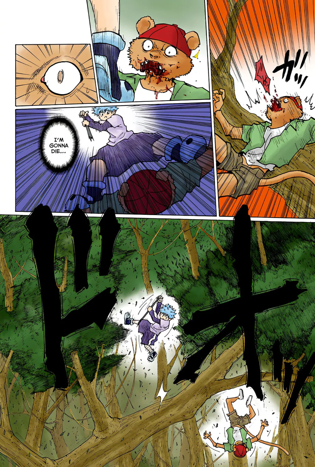 Hunter x Hunter Colored Manga