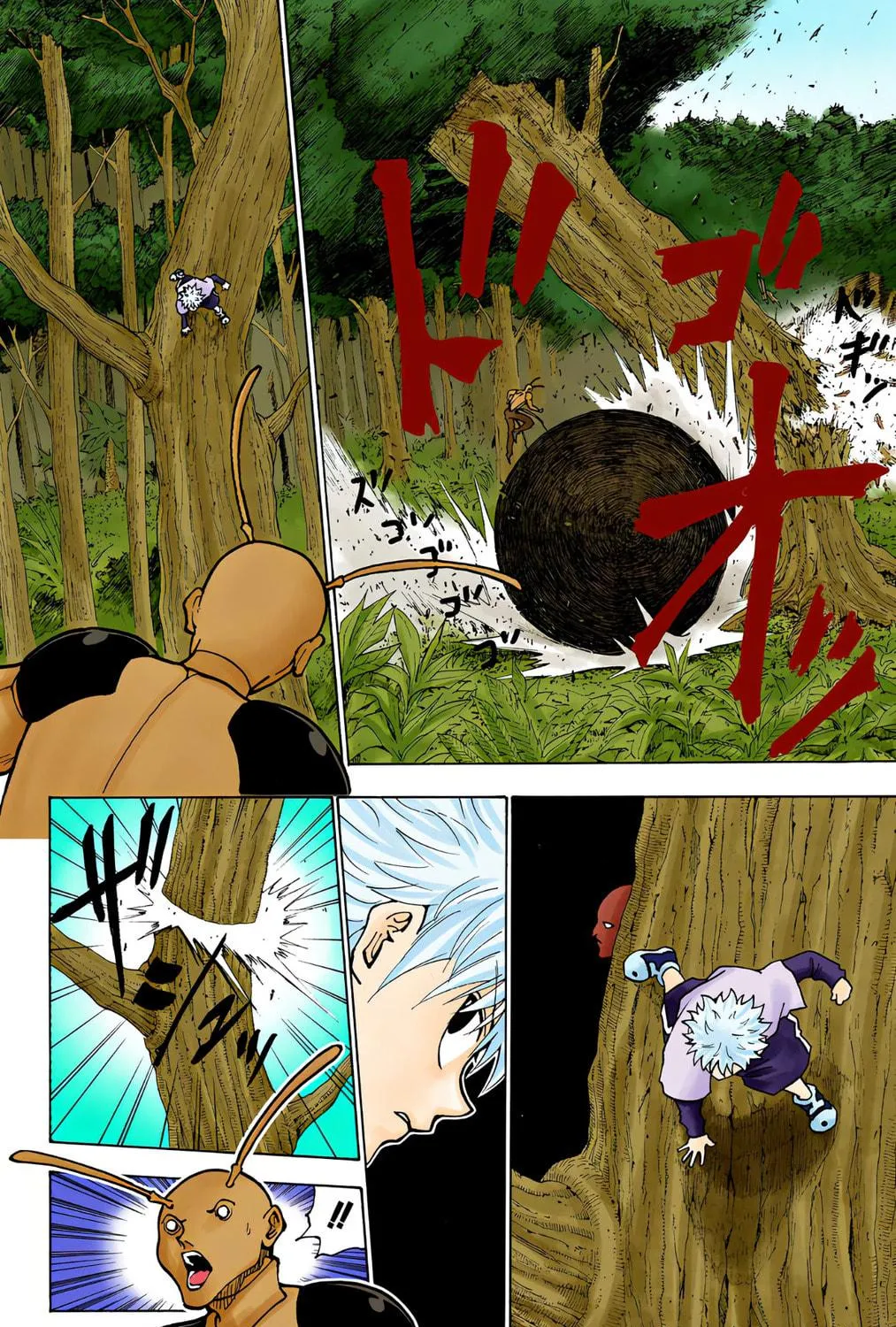 Hunter x Hunter Colored Manga