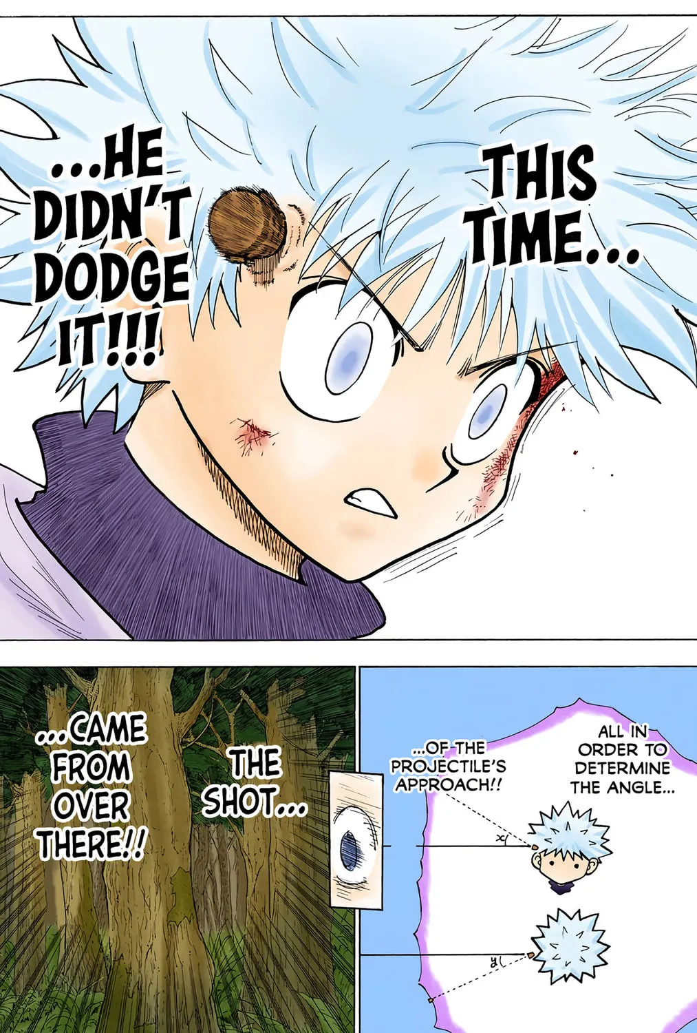 Hunter x Hunter Colored Manga