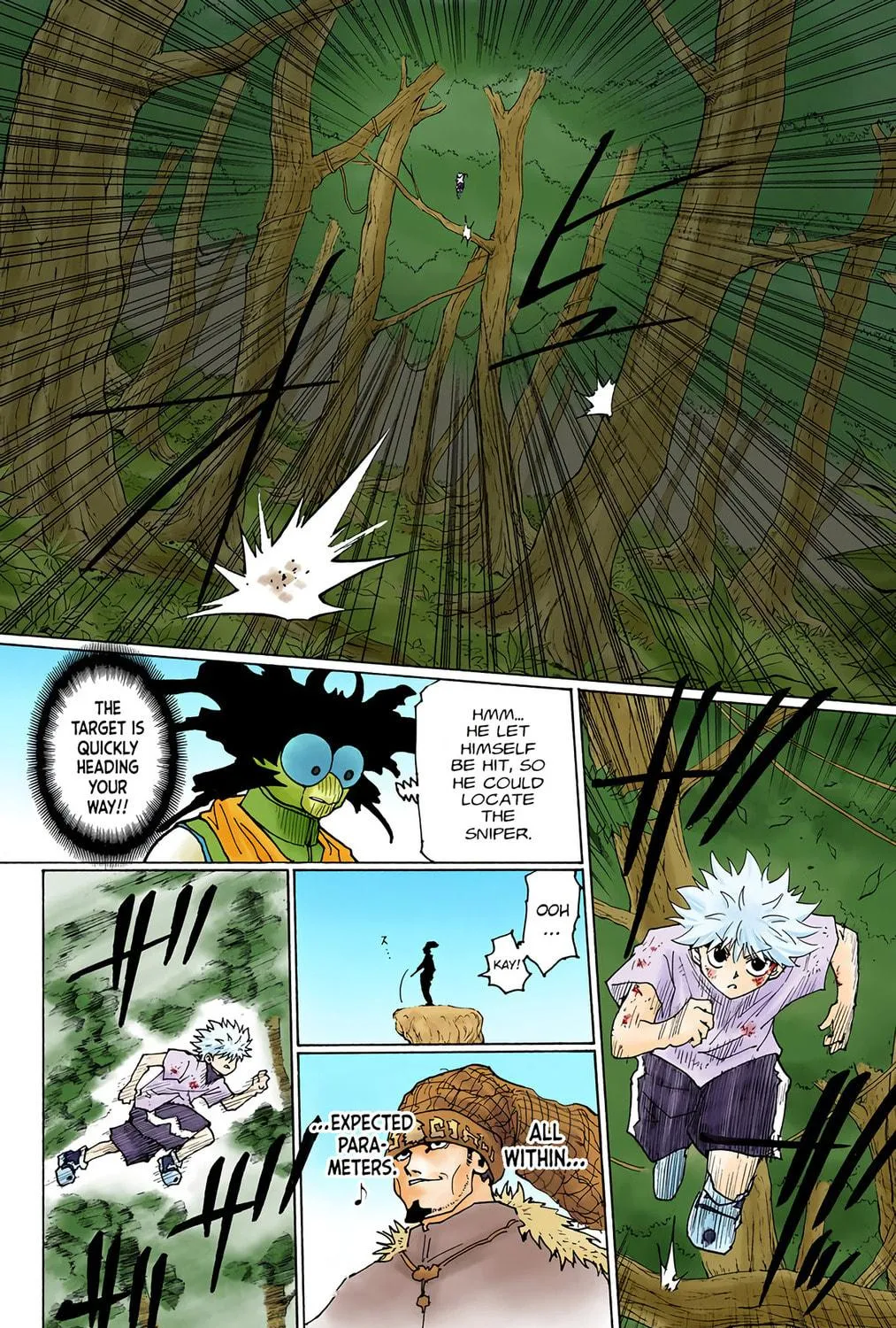 Hunter x Hunter Colored Manga