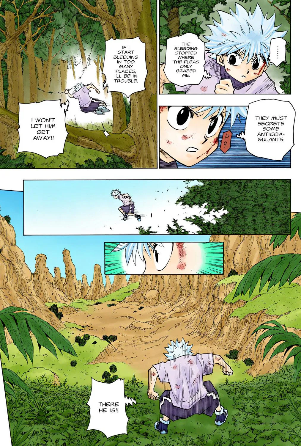 Hunter x Hunter Colored Manga