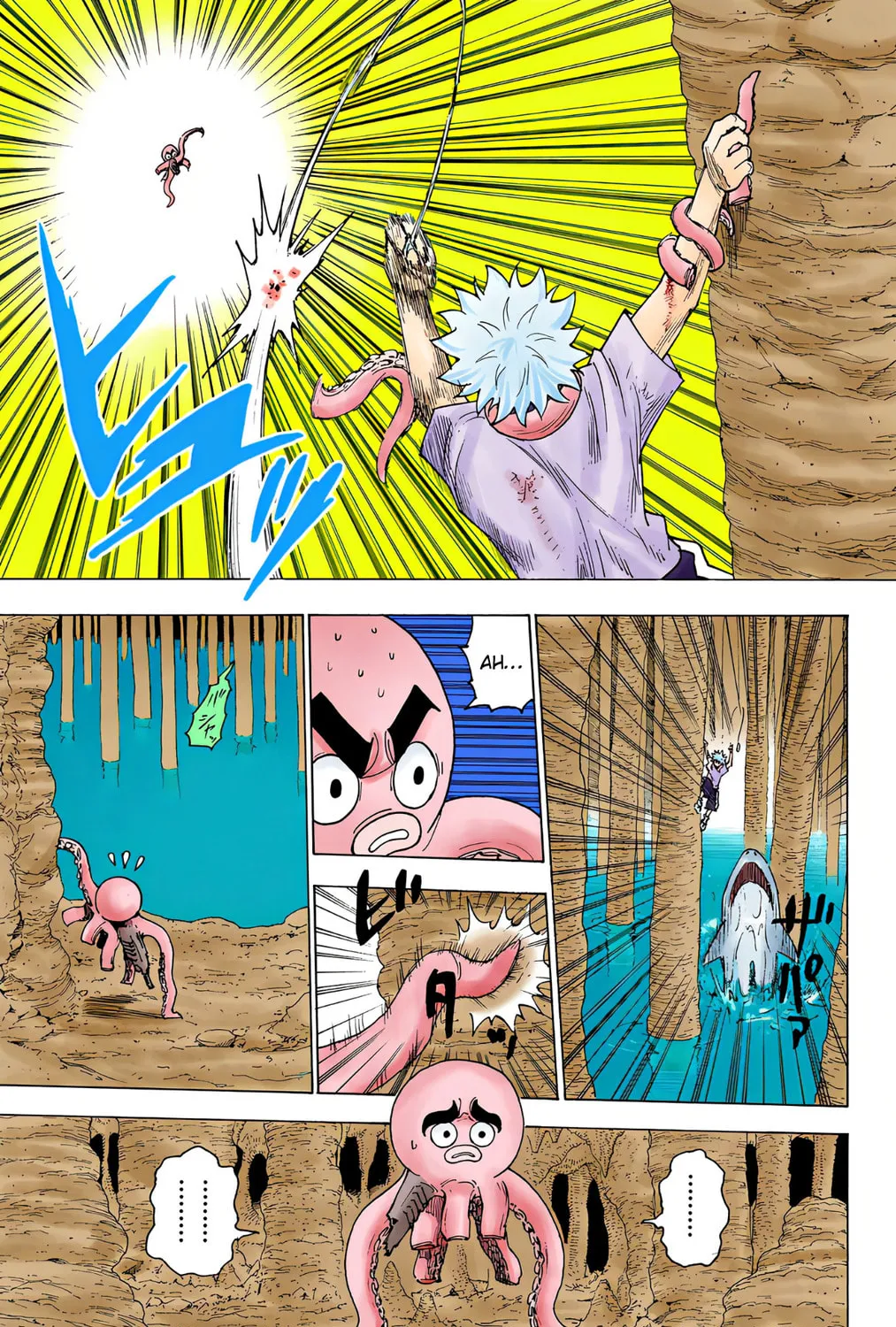Hunter x Hunter Colored Manga