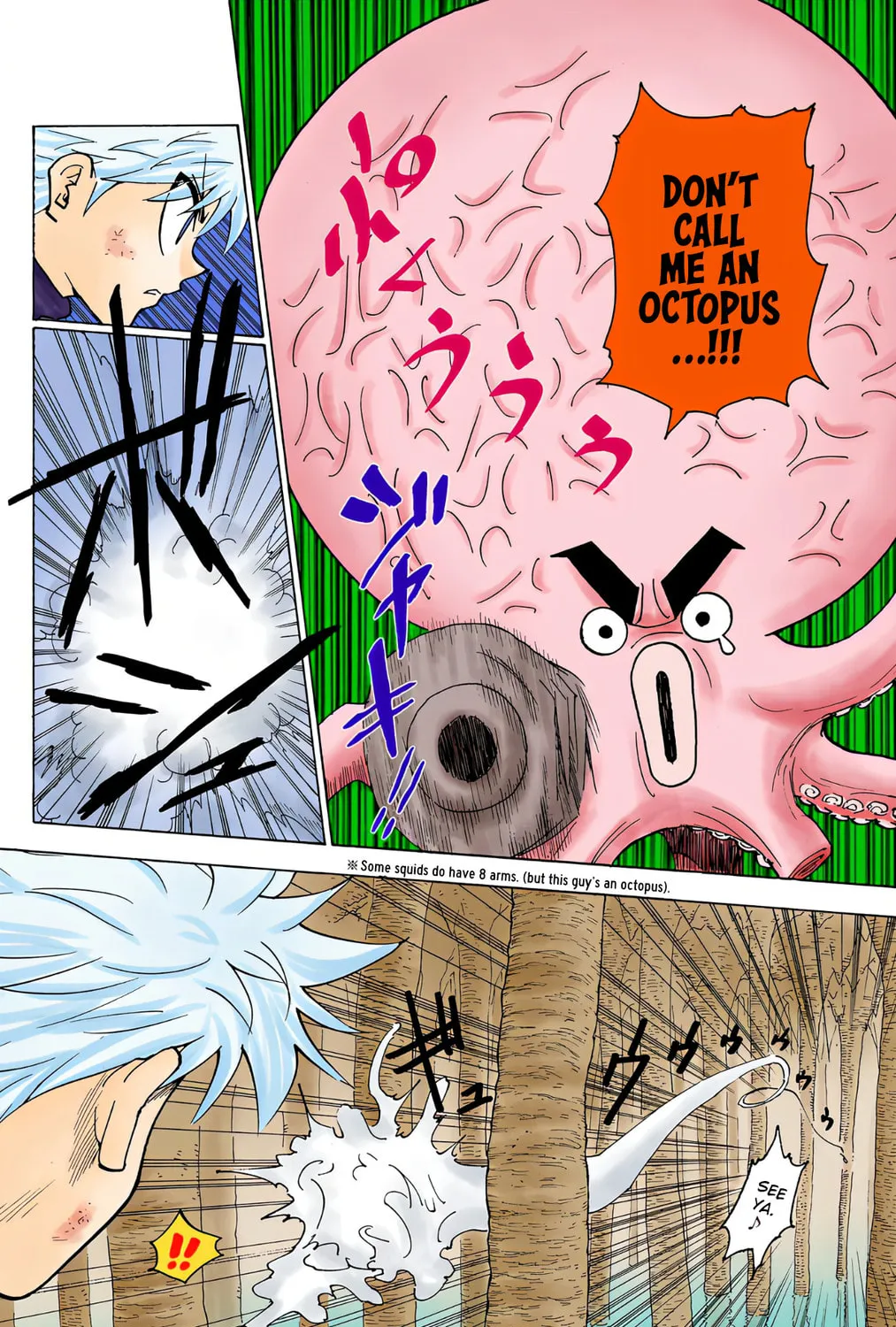 Hunter x Hunter Colored Manga