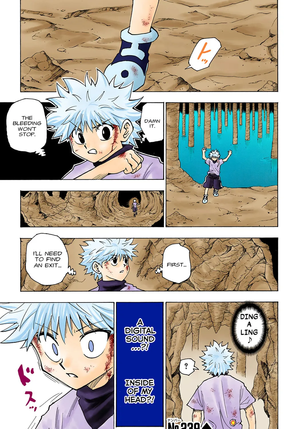 Hunter x Hunter Colored Manga