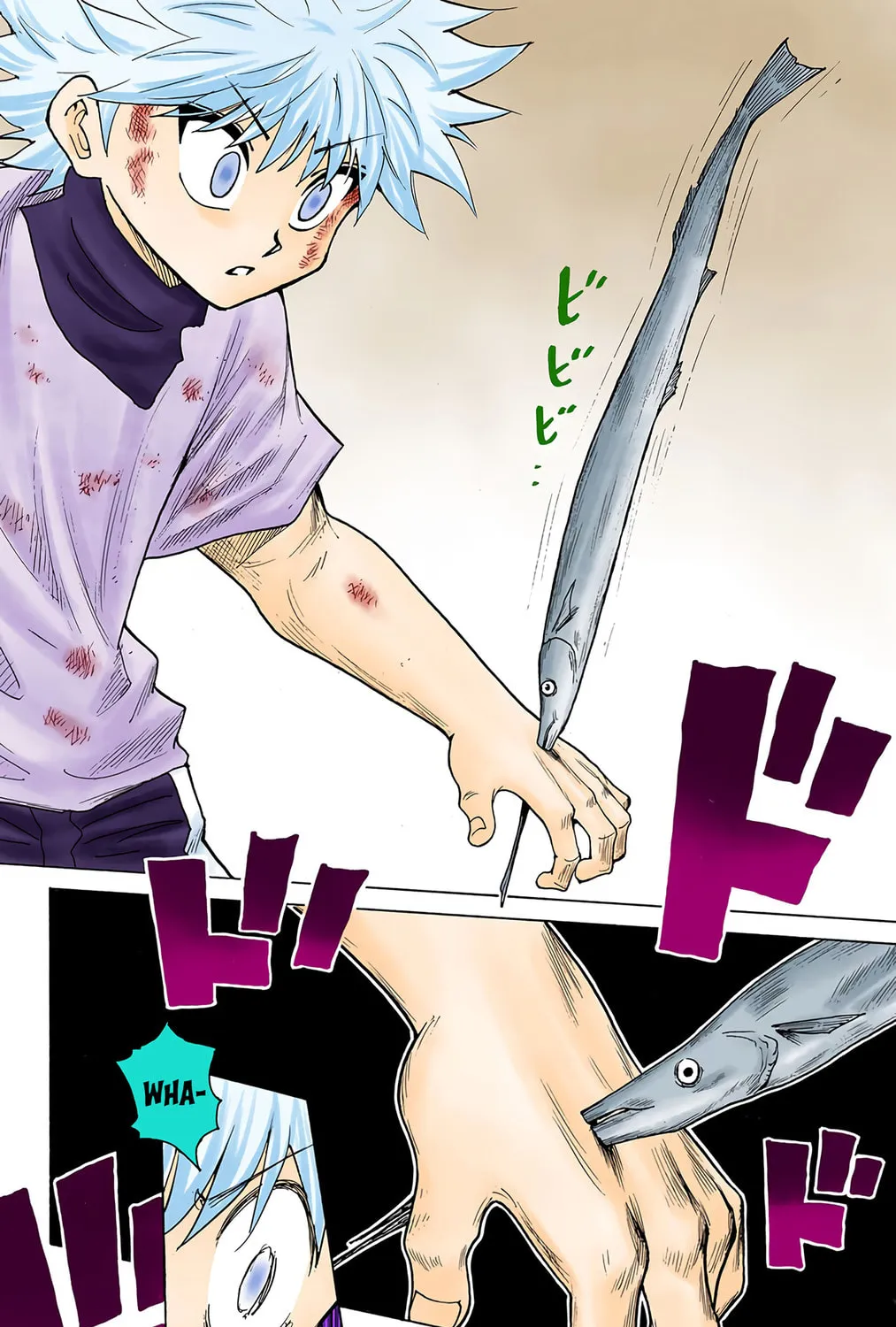 Hunter x Hunter Colored Manga