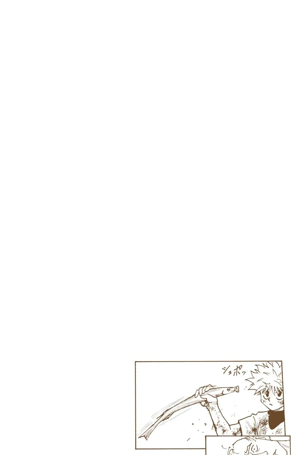 Hunter x Hunter Colored Manga