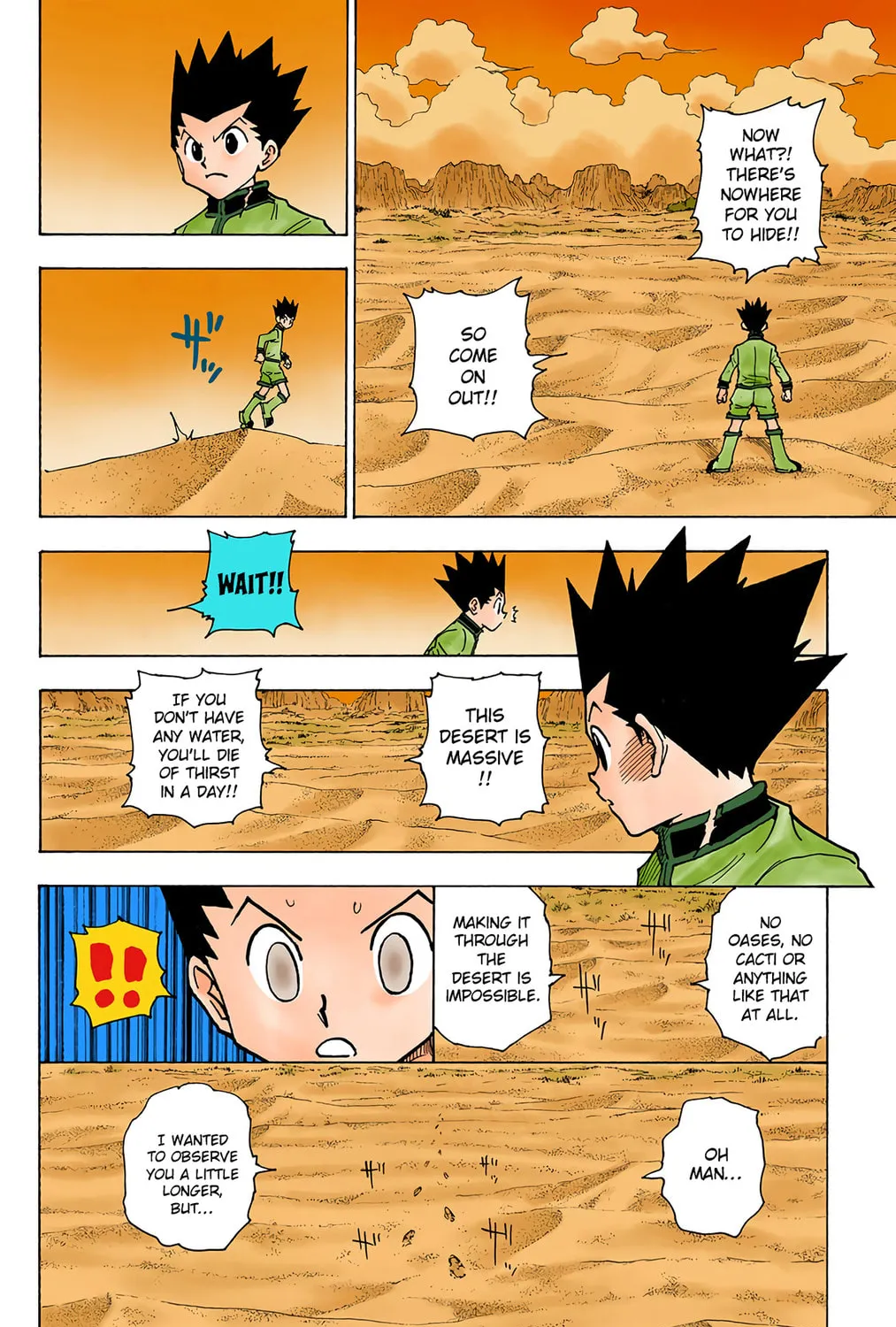 Hunter x Hunter Colored Manga