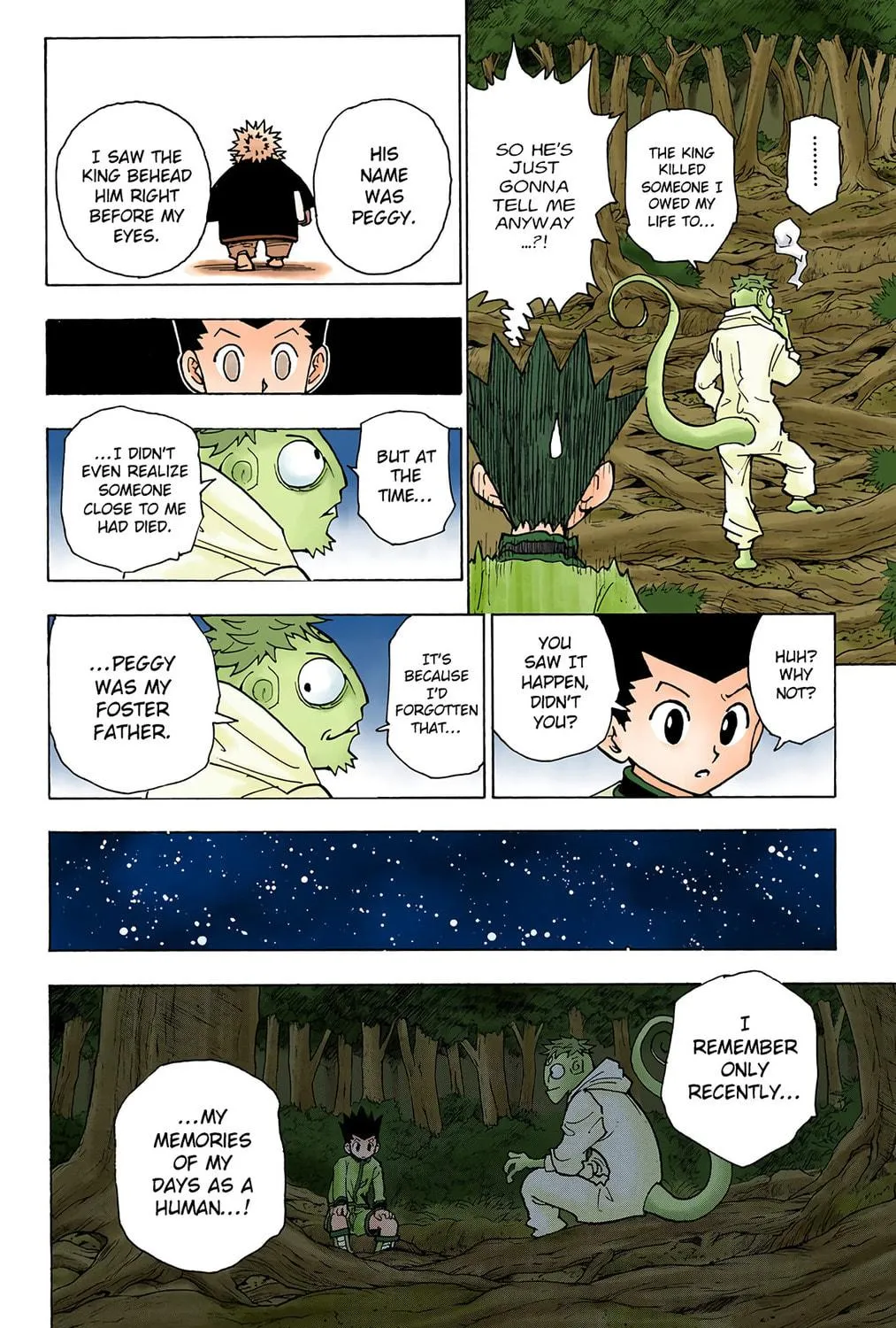 Hunter x Hunter Colored Manga