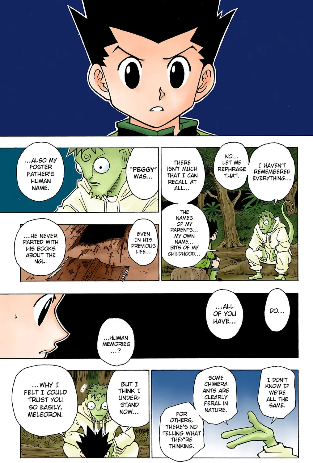 Hunter x Hunter Colored Manga