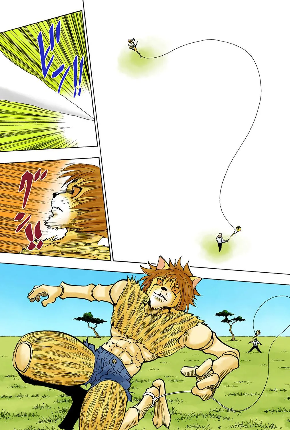 Hunter x Hunter Colored Manga