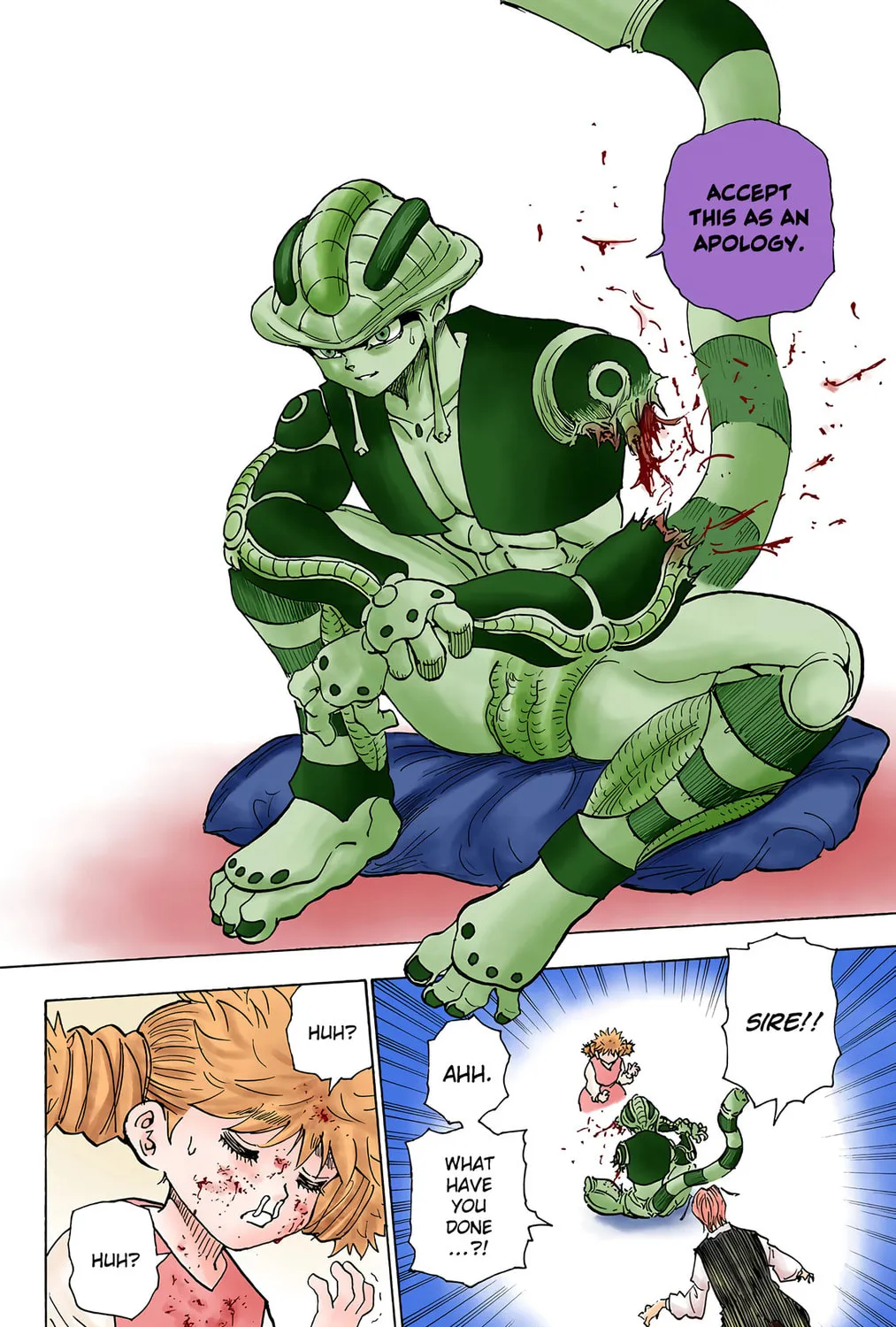 Hunter x Hunter Colored Manga