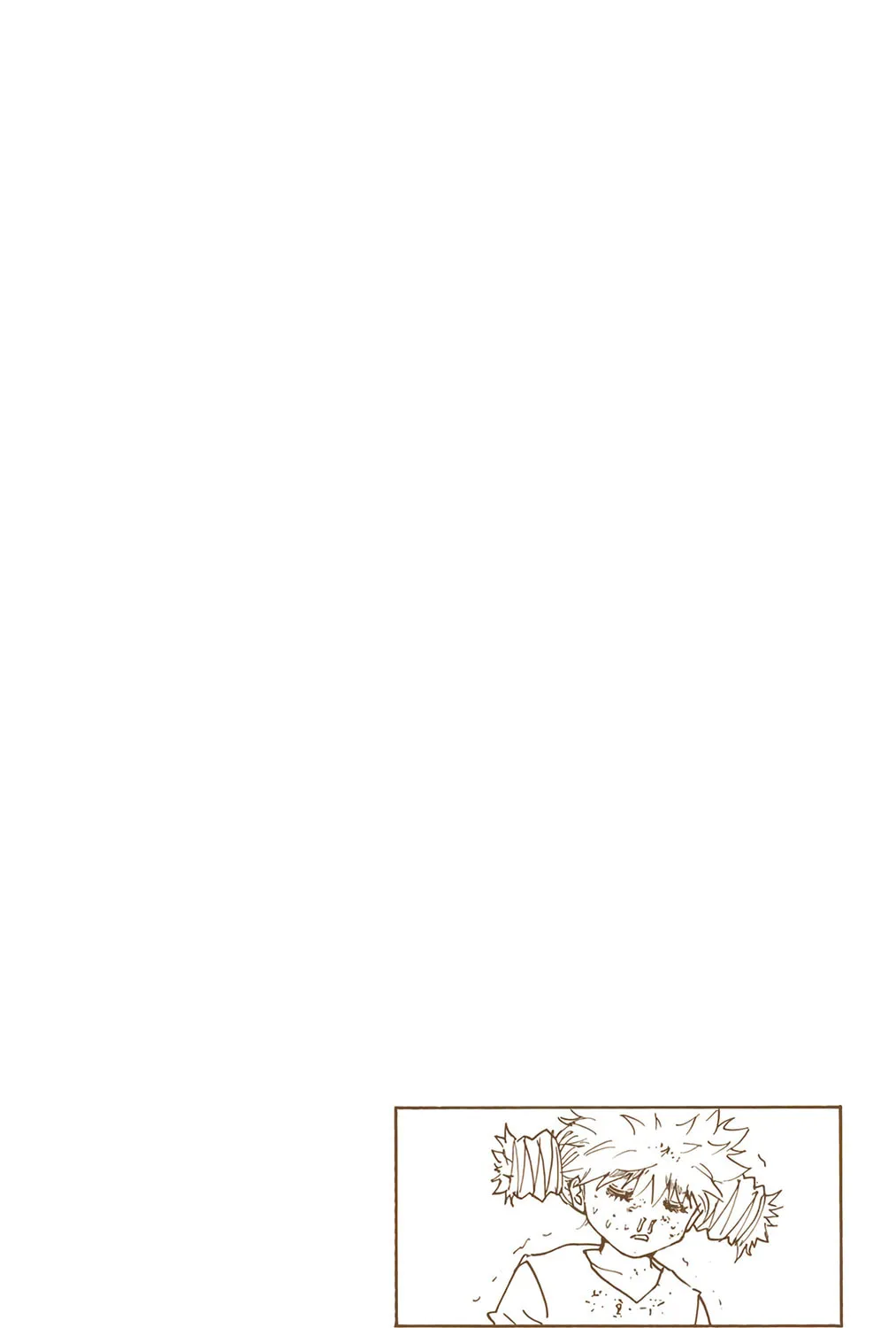 Hunter x Hunter Colored Manga