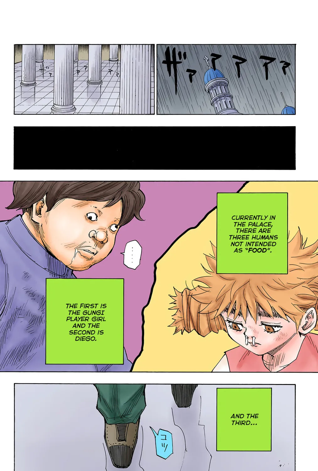 Hunter x Hunter Colored Manga