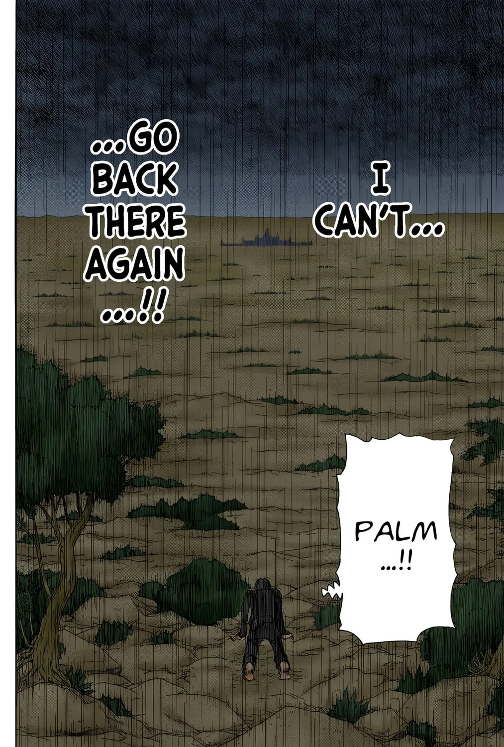 Hunter x Hunter Colored Manga