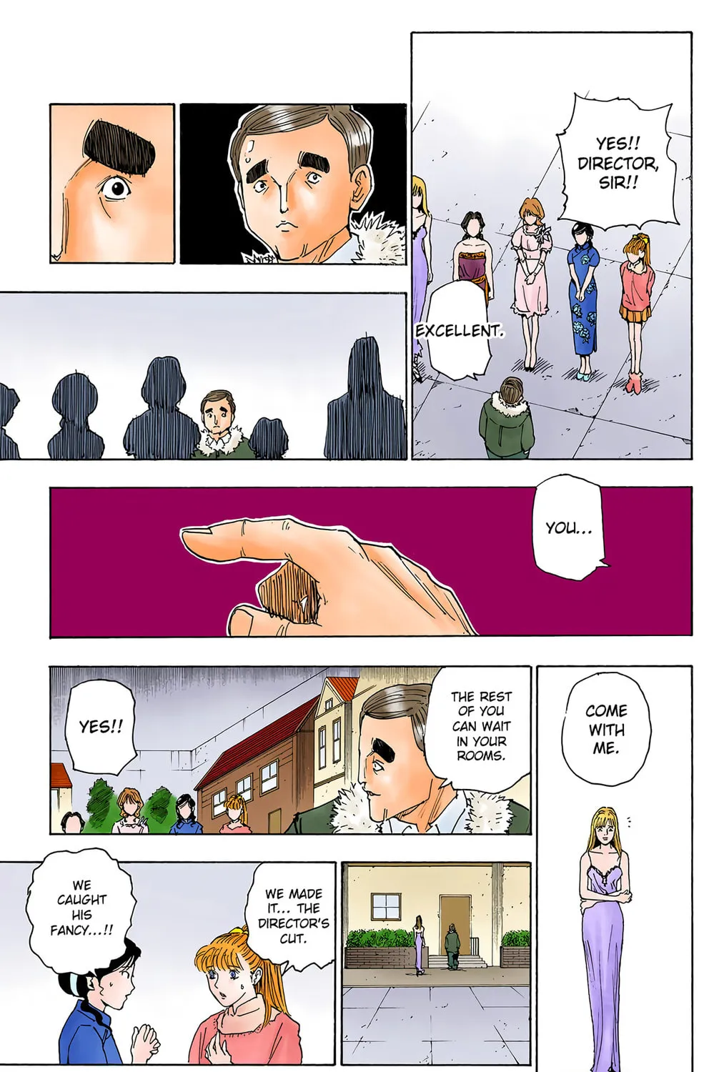 Hunter x Hunter Colored Manga