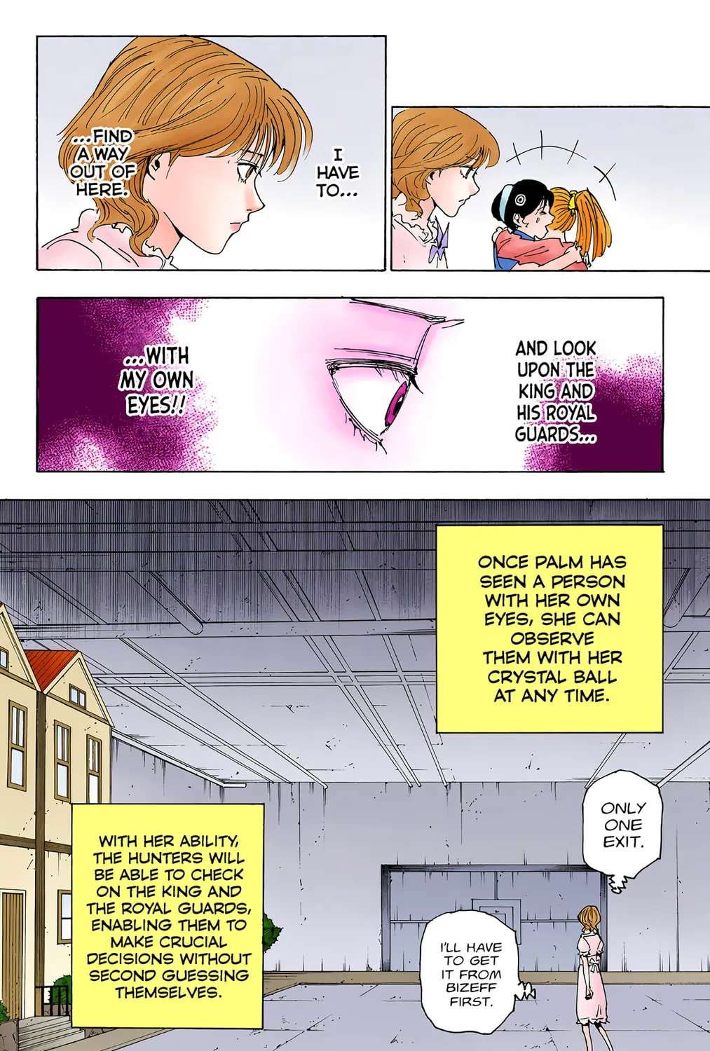 Hunter x Hunter Colored Manga